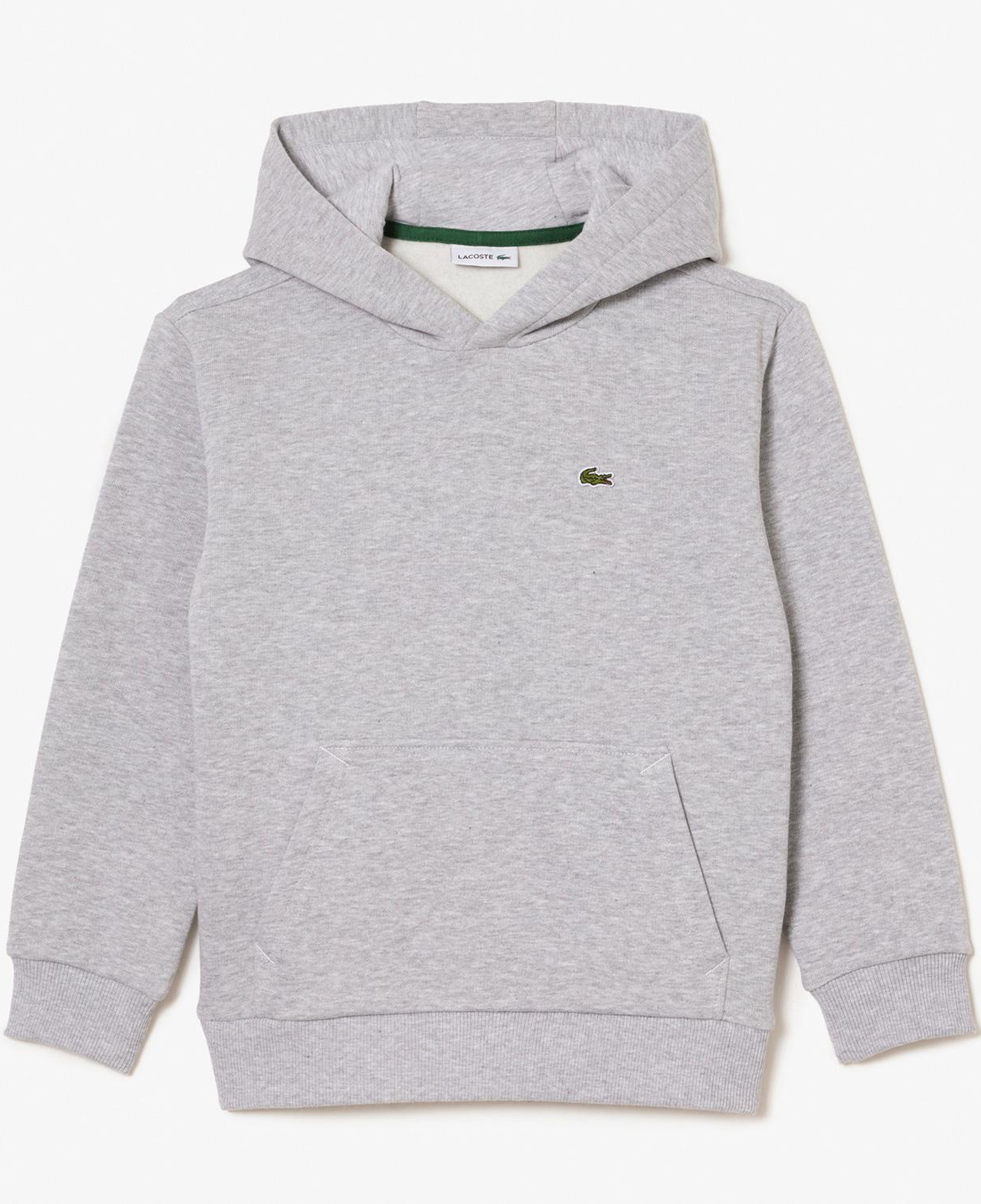 Çocuk Kapüşonlu Gri Sweatshirt