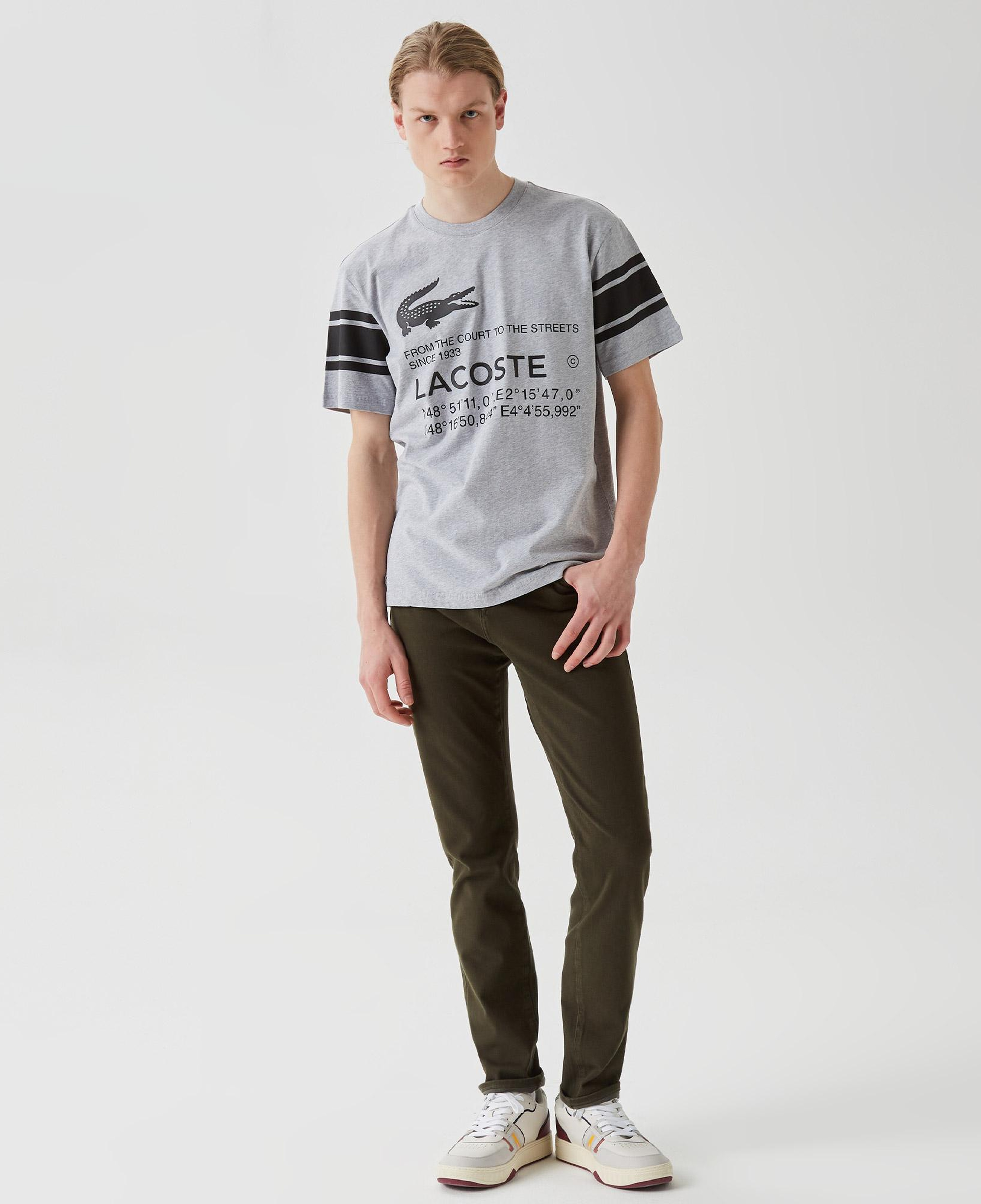 Active Erkek Relaxed Fit Bisiklet Yaka Baskılı Gri T-Shirt