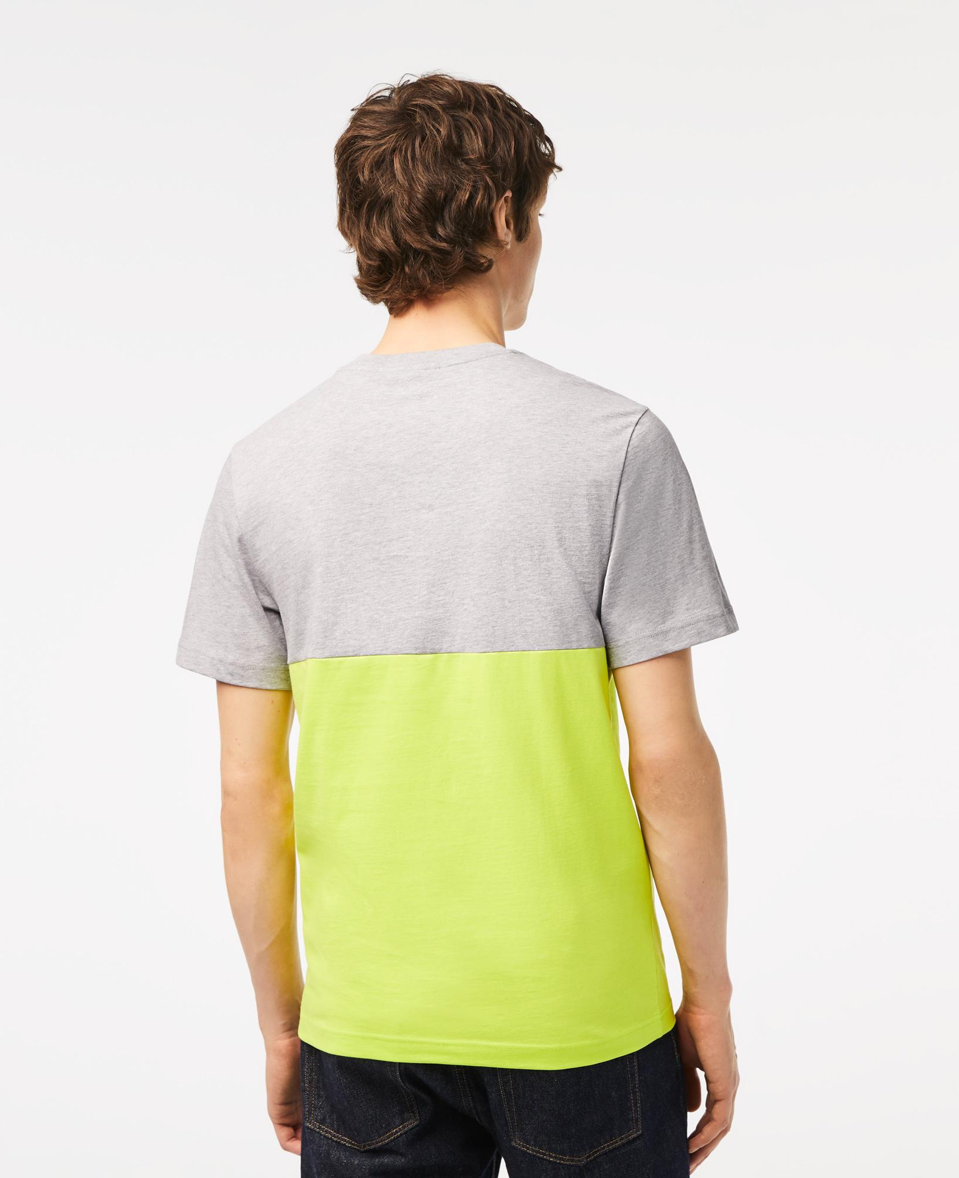 Erkek Regular Fit Bisiklet Yaka Renk Bloklu Sarı T-Shirt