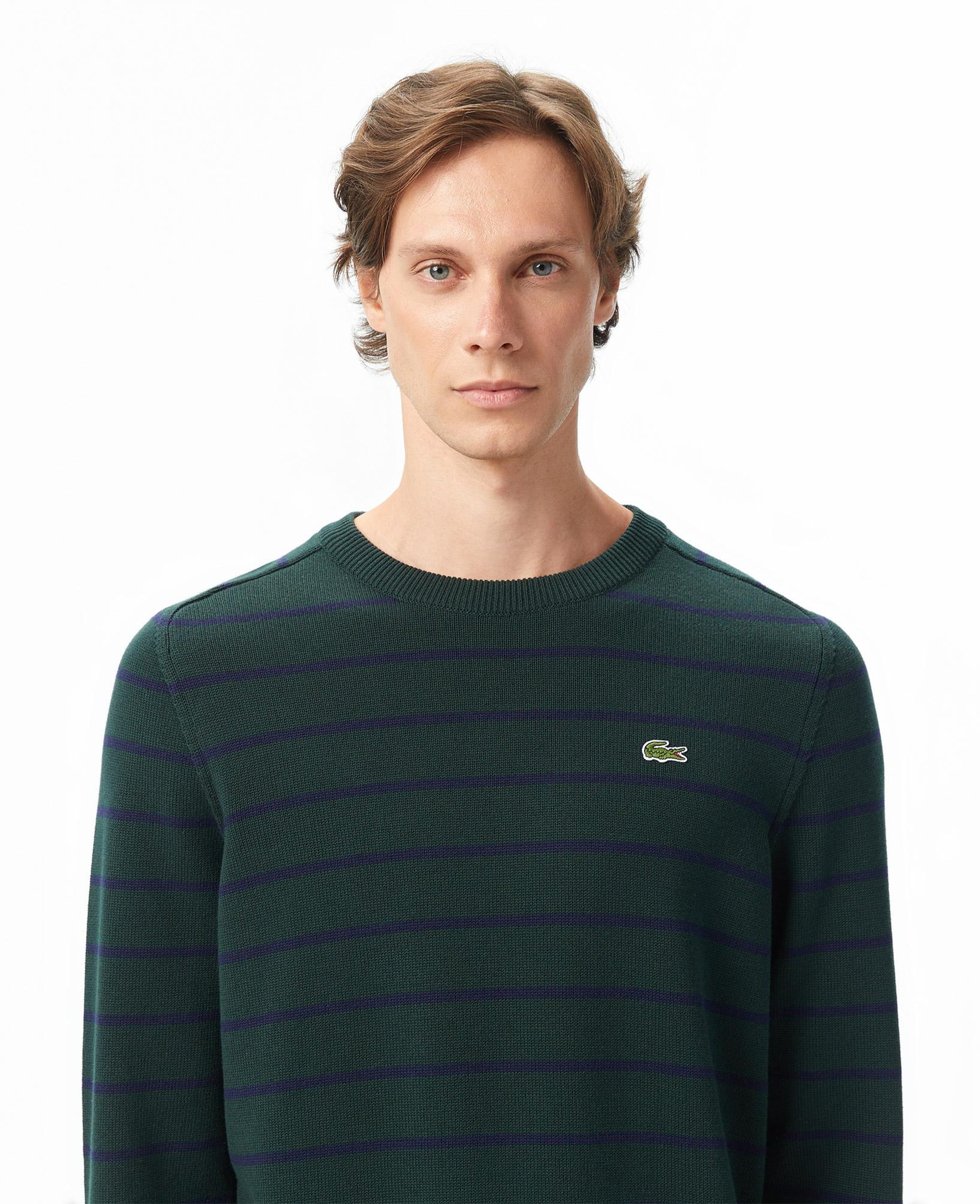 Erkek Classic Fit Bisiklet Yaka Çizgili Yeşil Kazak