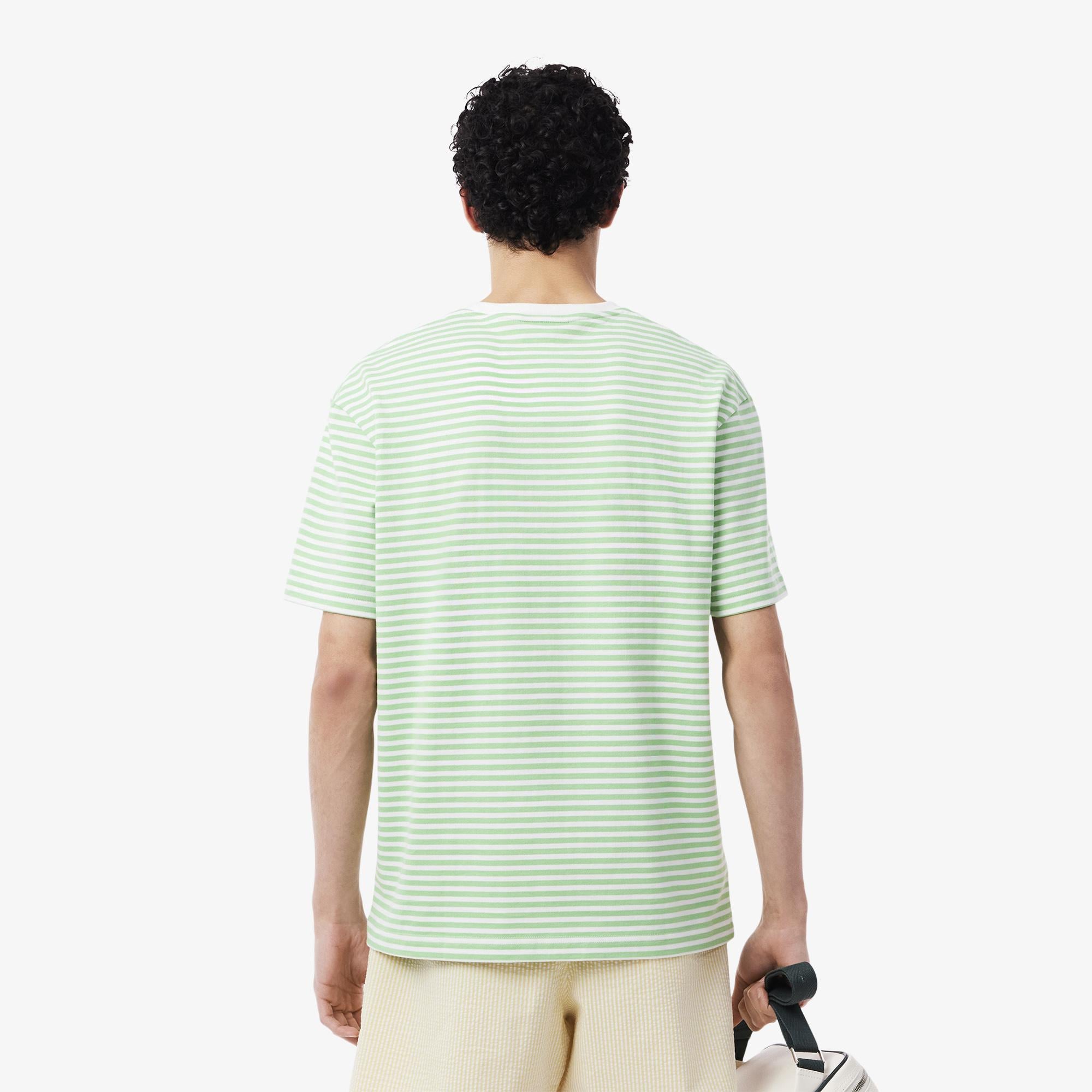 Erkek Classic Fit Bisiklet Yaka Çizgili Açık Yeşil T-Shirt