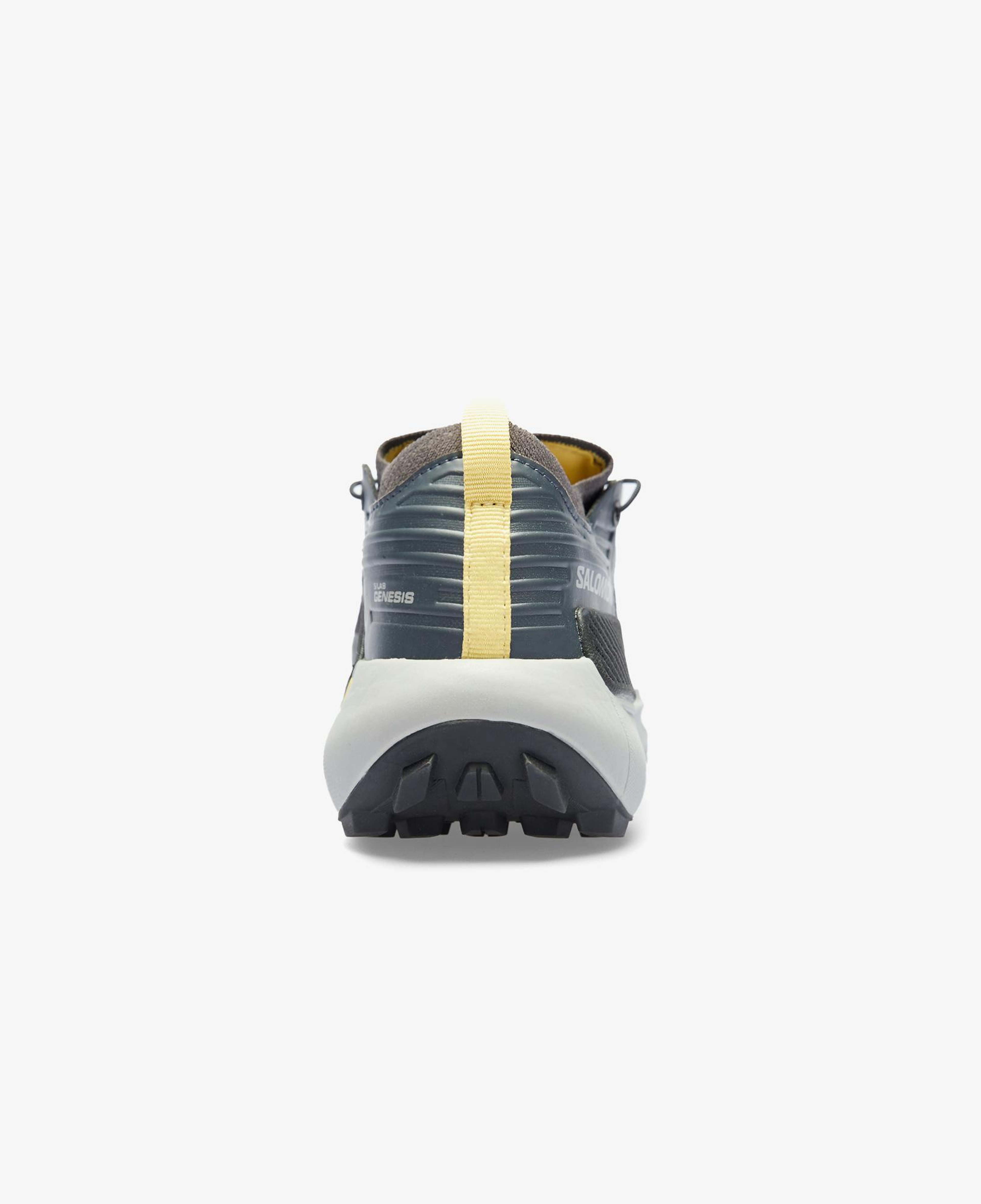 Salomon S/Lab Genesis Unisex Siyah Koşu Ayakkabısı