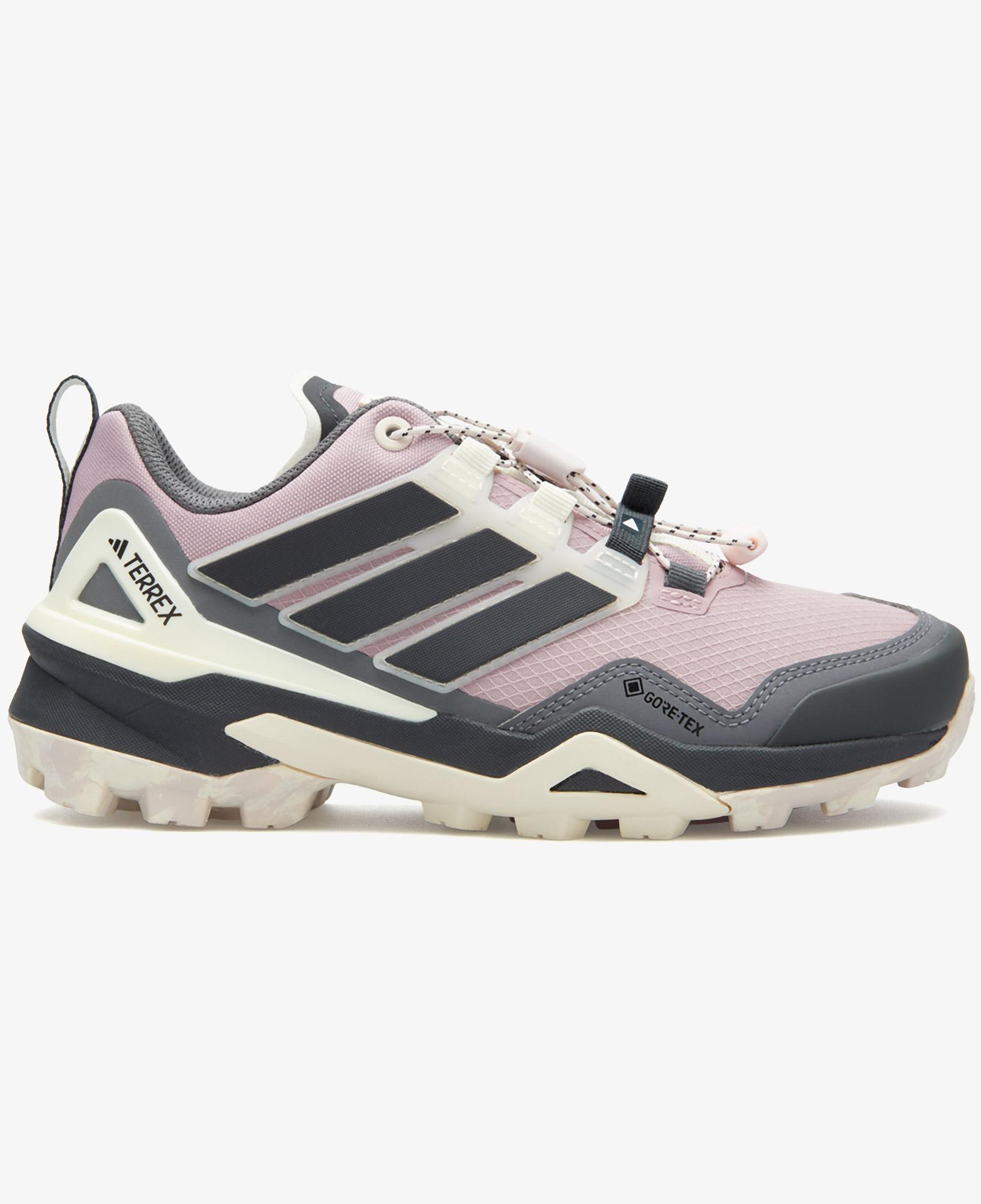 adidas Terrex Skychaser Gtx Kadın Siyah Koşu Ayakkabısı