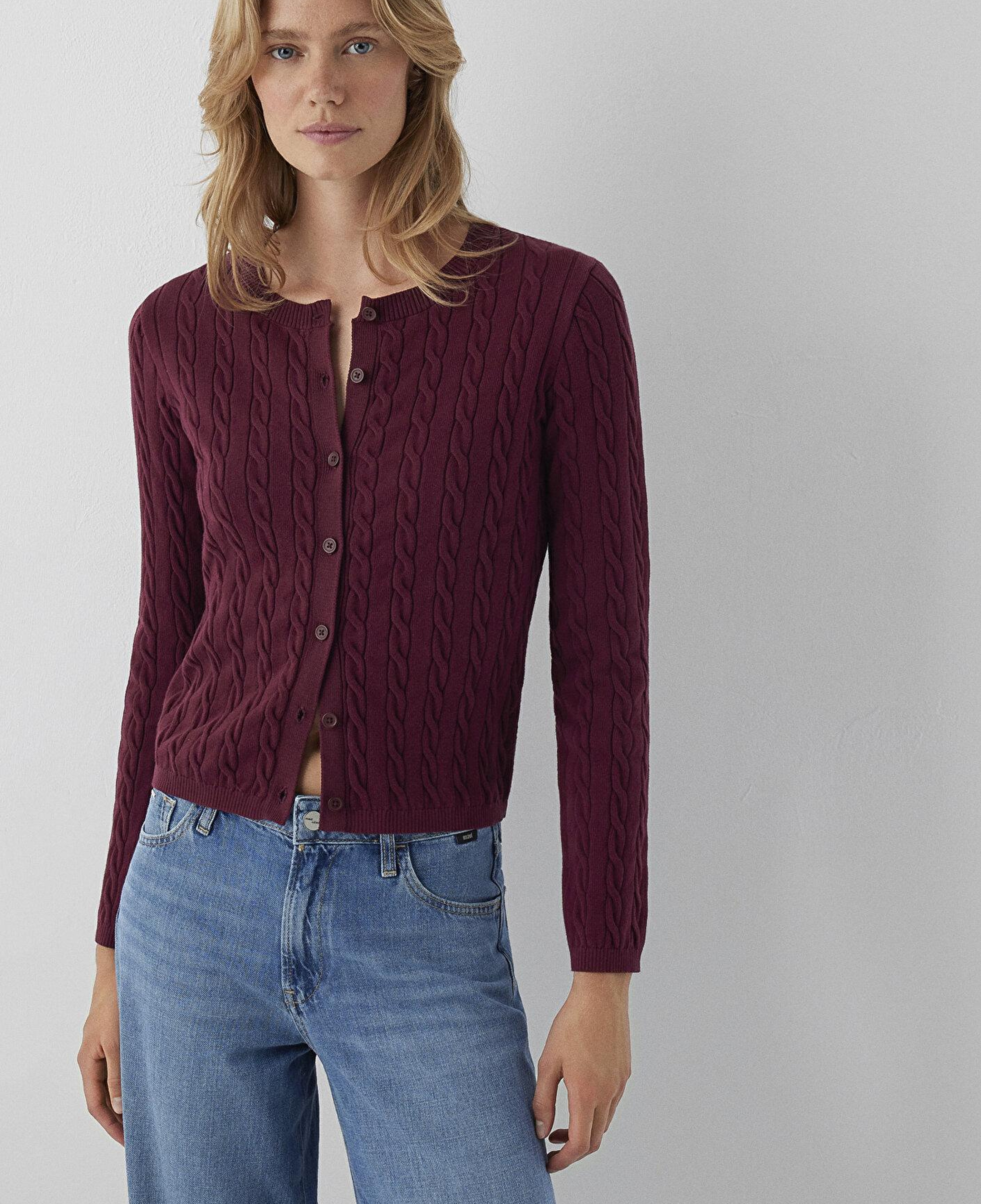 Mavi Bordo Hırka Slim Fit / Dar Kesim 1710957-87830