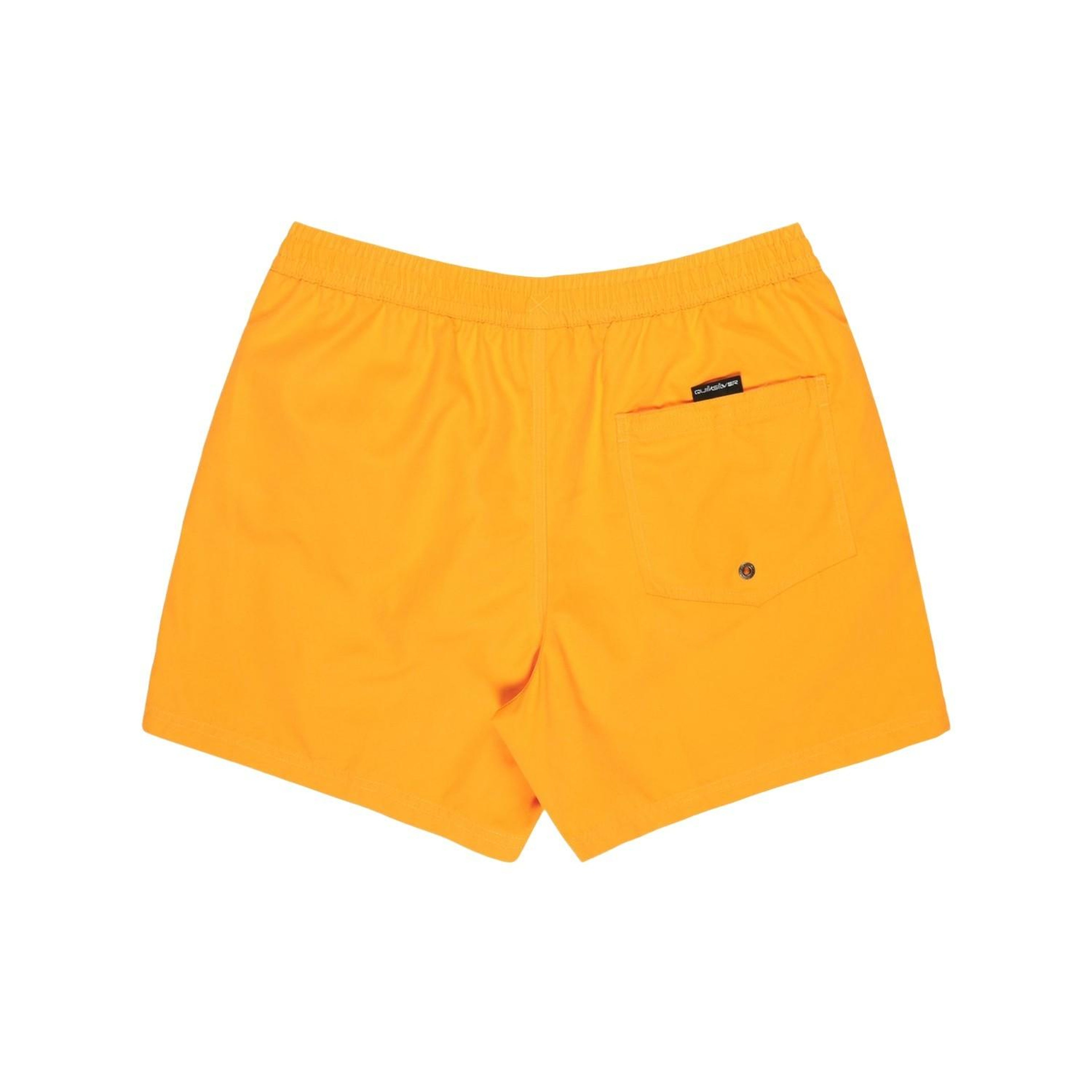 Quiksilver Everyday 15 Erkek Volley