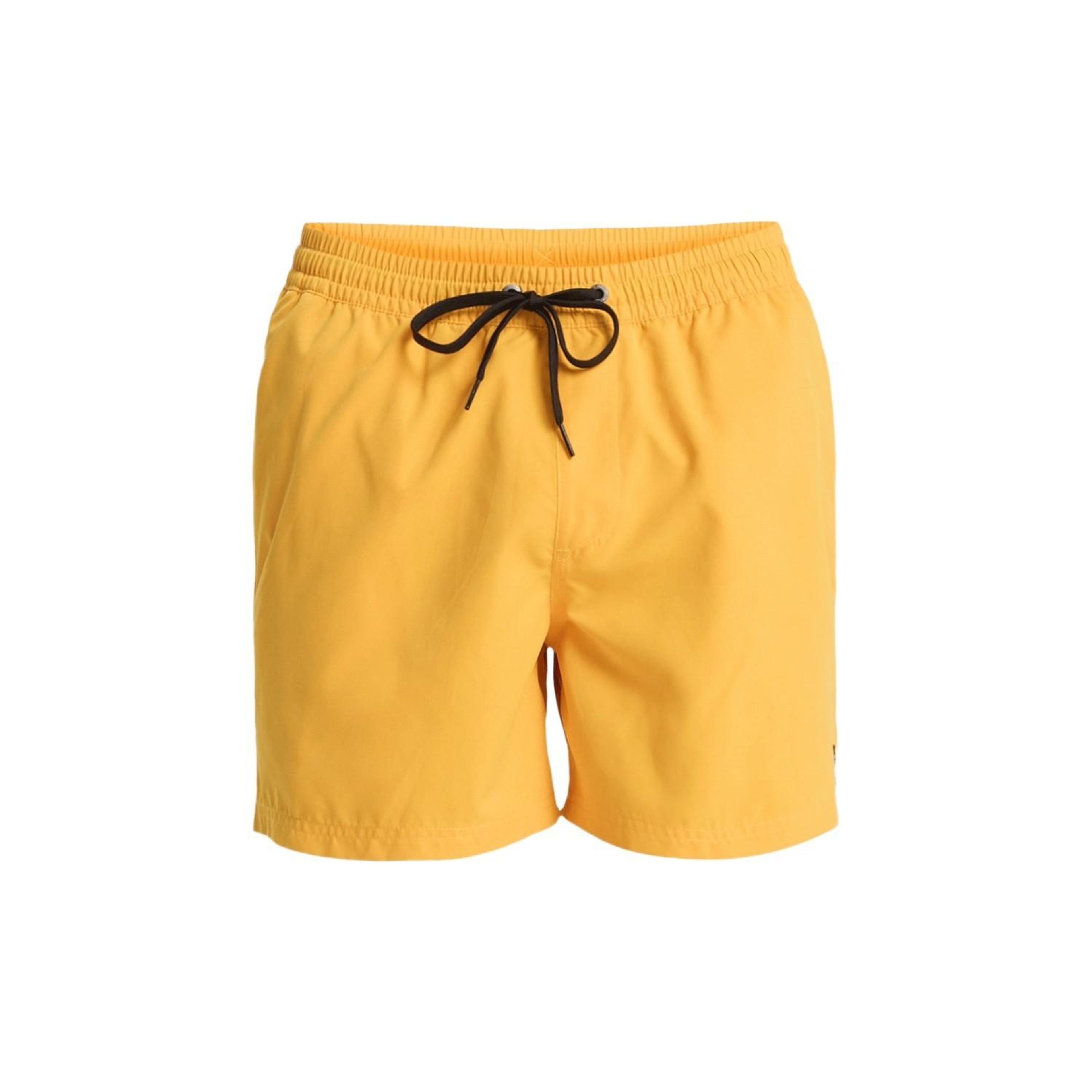 Quiksilver Everyday 15 Erkek Volley
