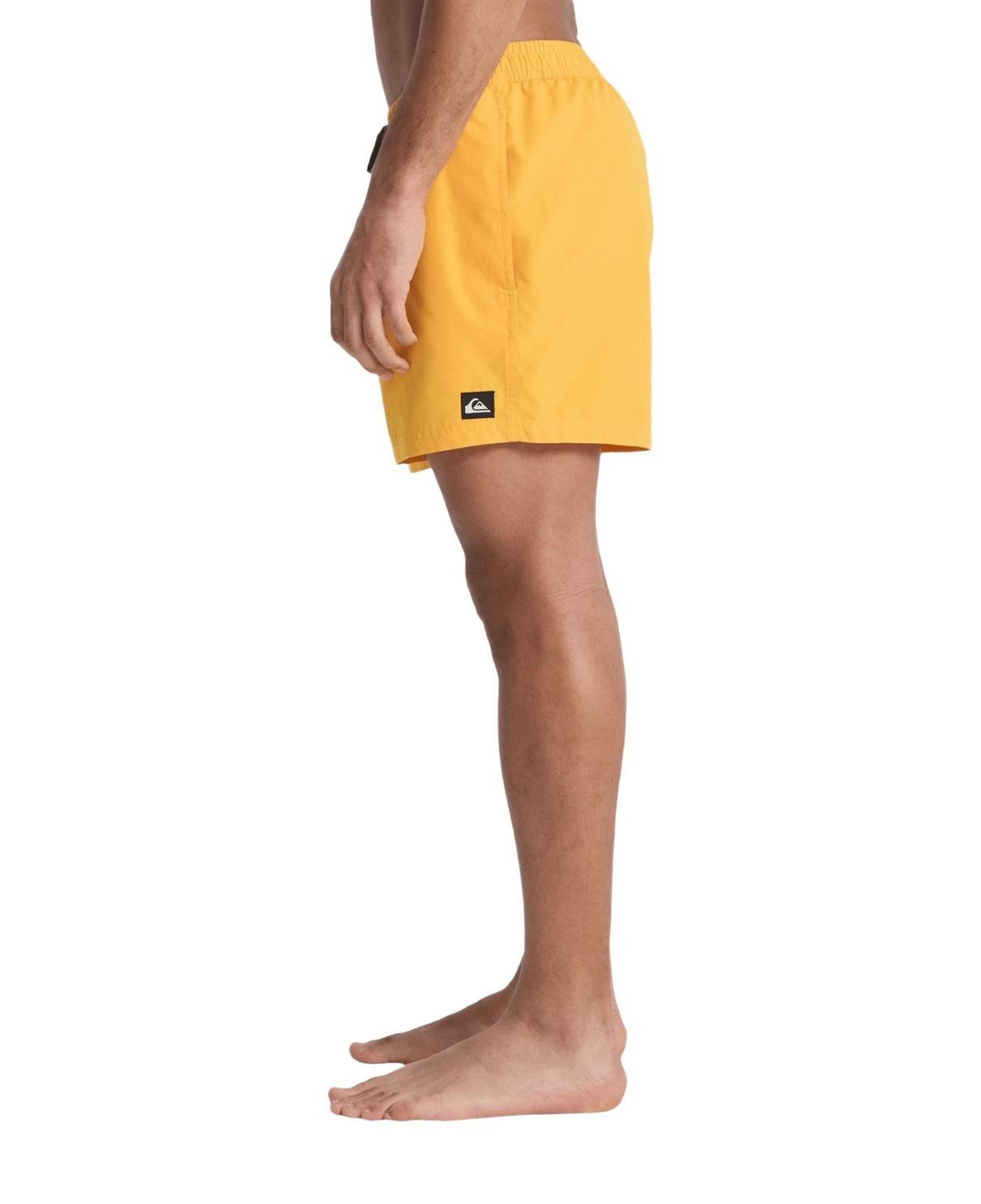 Quiksilver Everyday 15 Erkek Volley