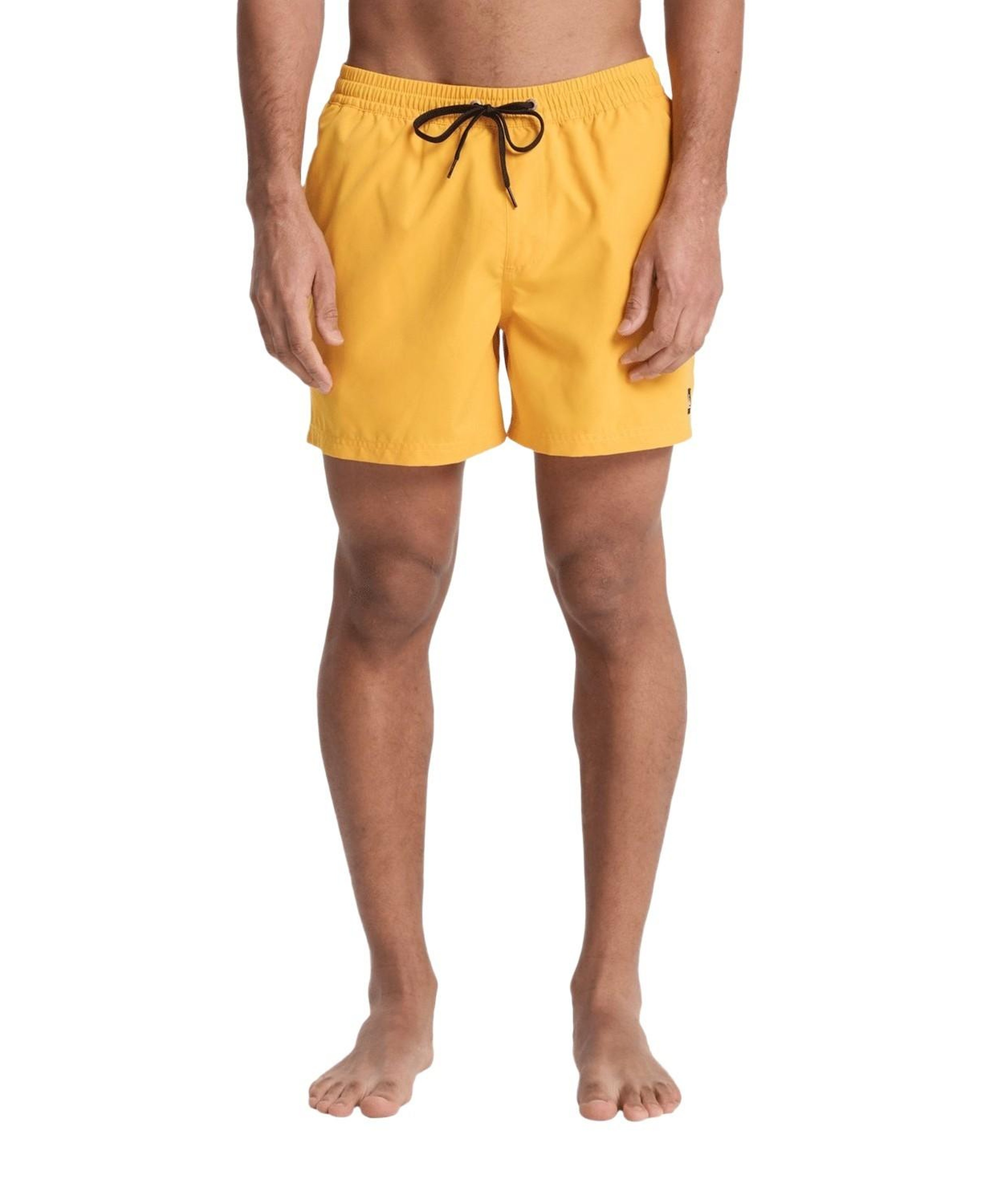Quiksilver Everyday 15 Erkek Volley