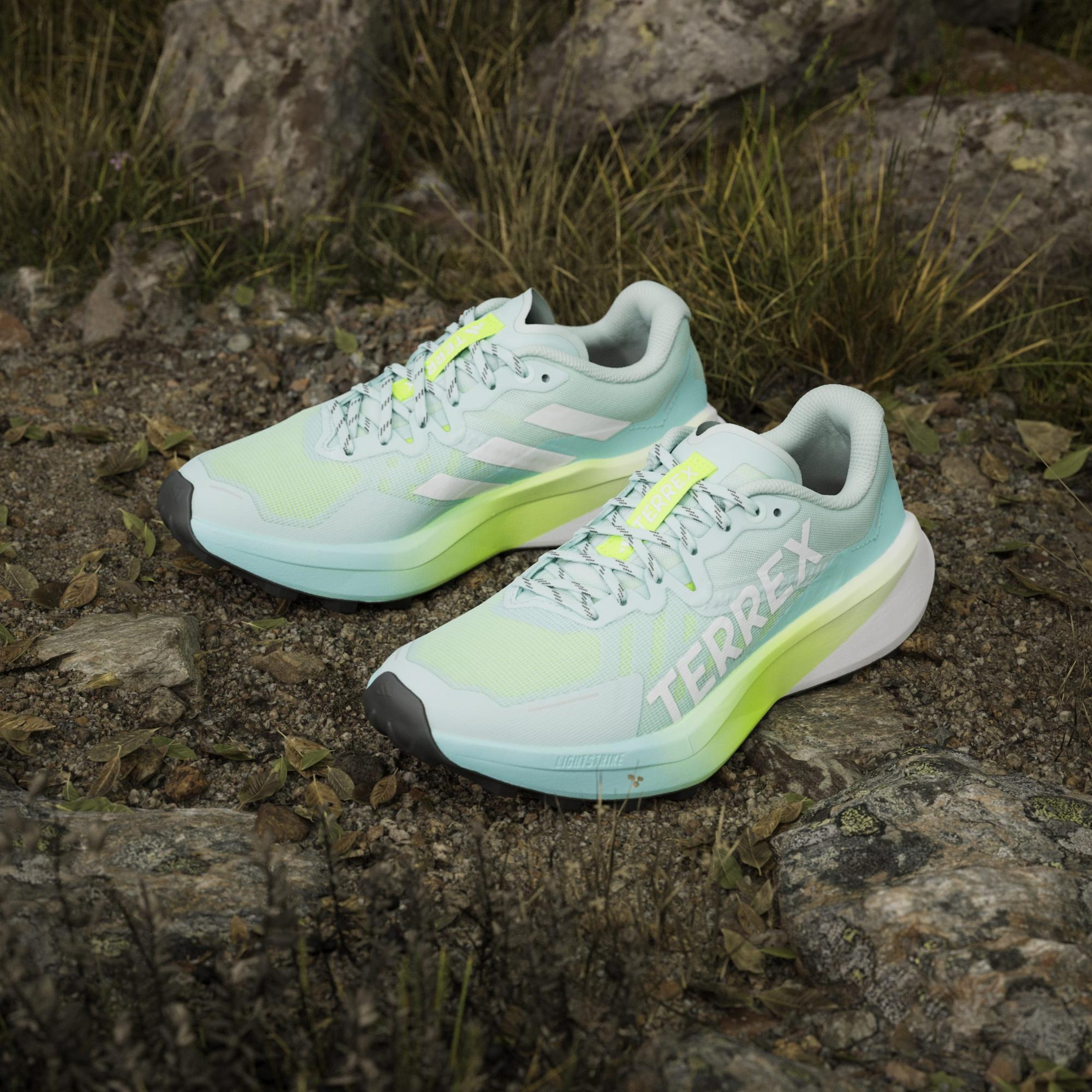 adidas Terrex Agravic 3 Kadın Mavi Koşu Ayakkabısı