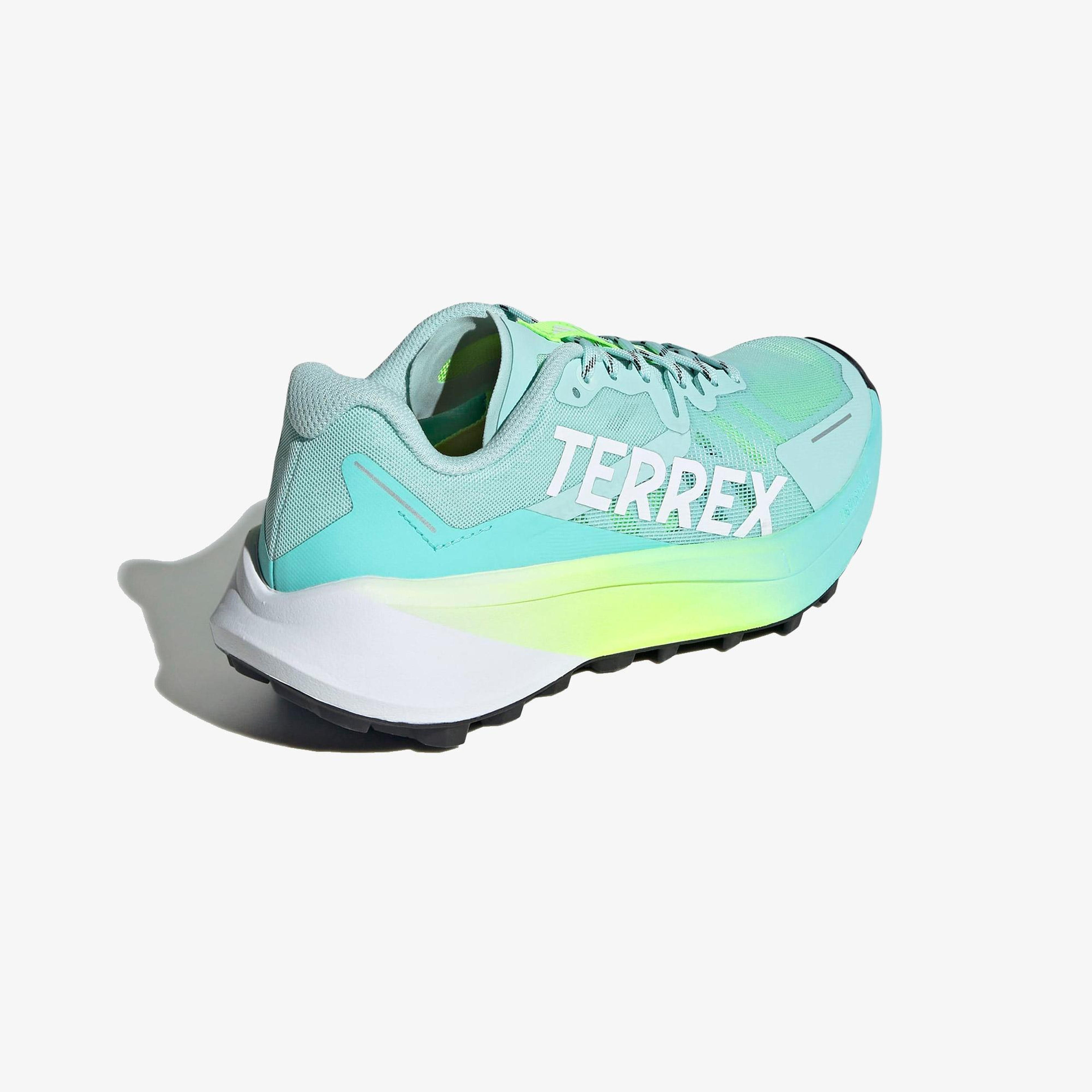 adidas Terrex Agravic 3 Kadın Mavi Koşu Ayakkabısı