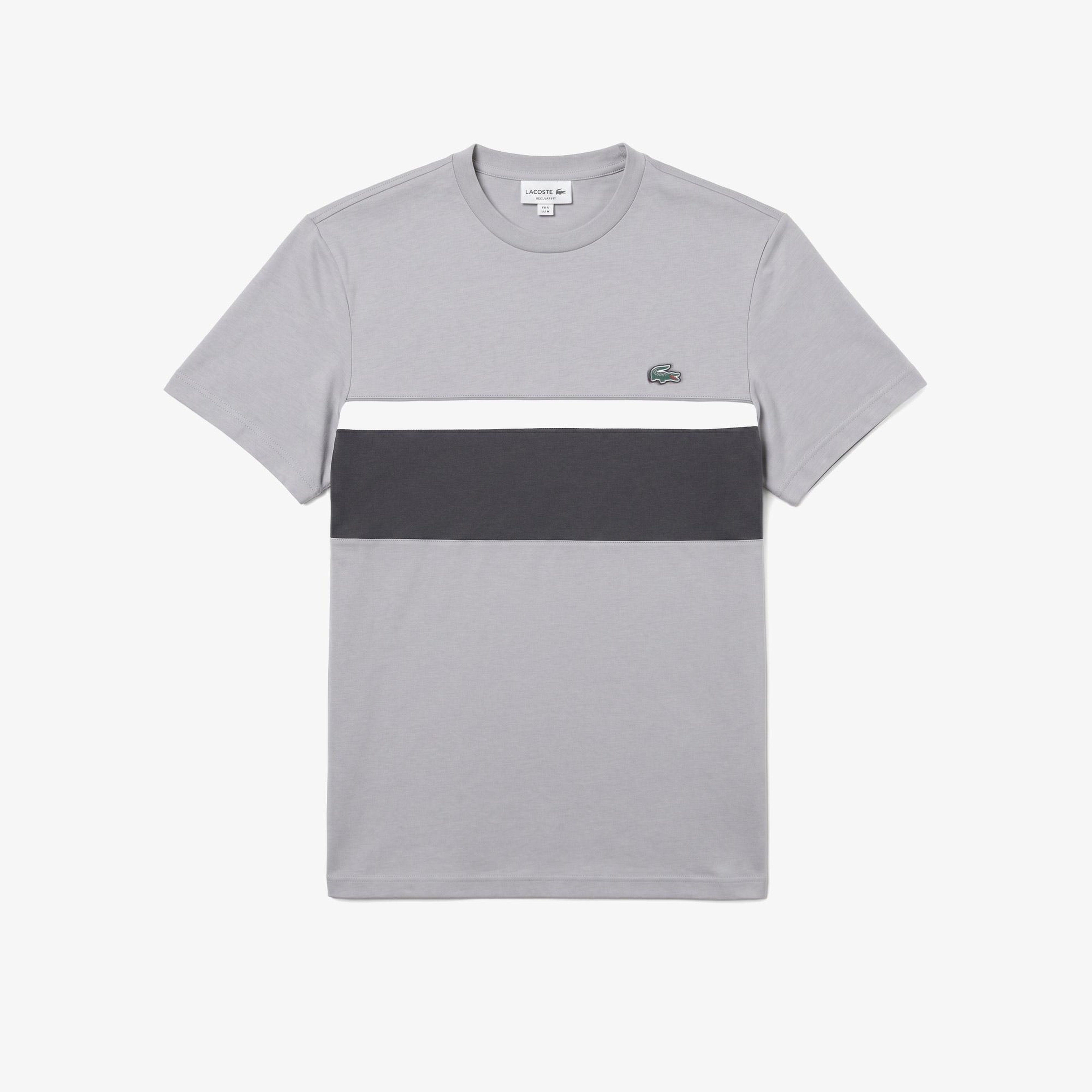 Erkek Regular Fit Bisiklet Yaka Renk Bloklu Gri T-Shirt