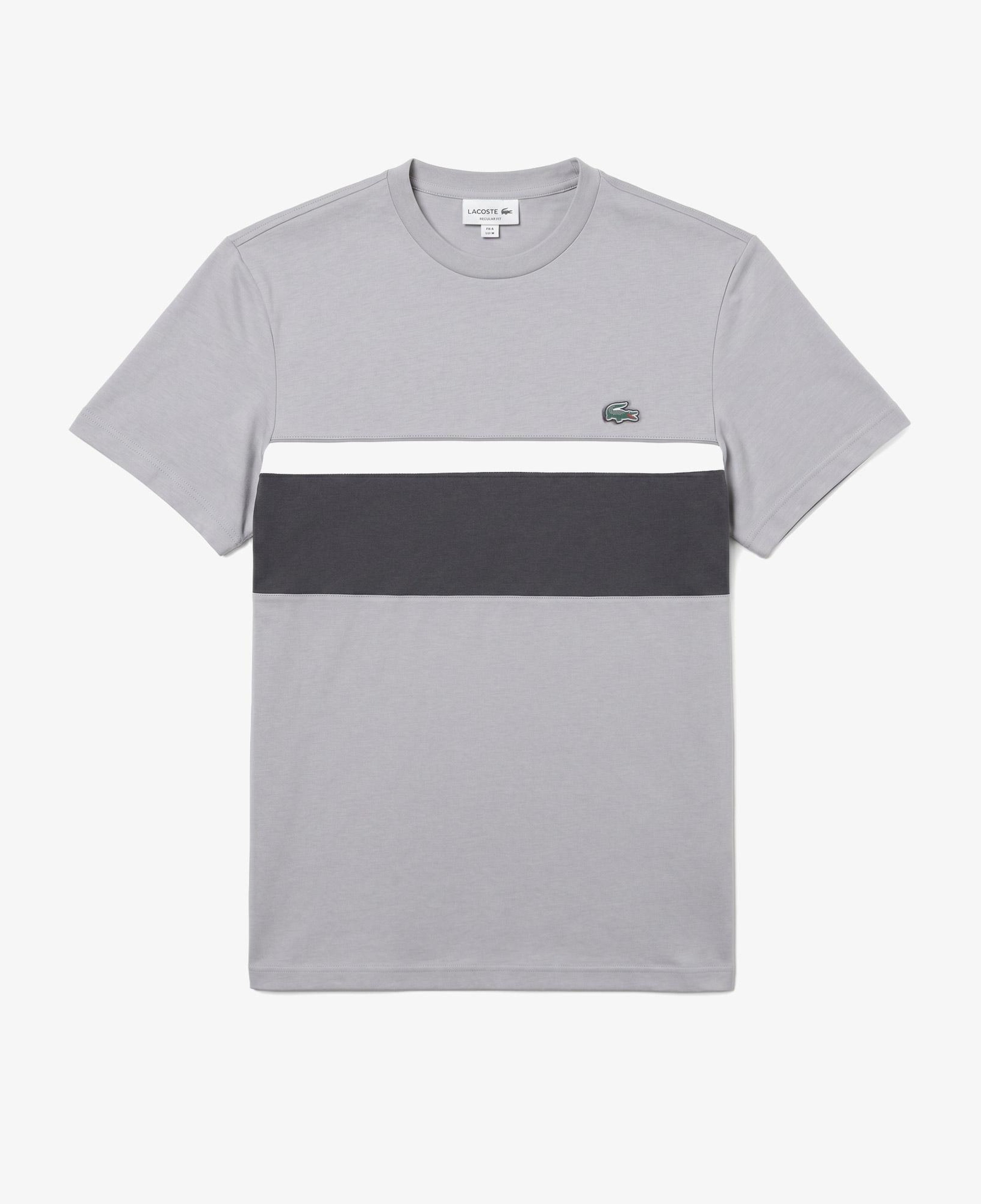 Erkek Regular Fit Bisiklet Yaka Renk Bloklu Gri T-Shirt
