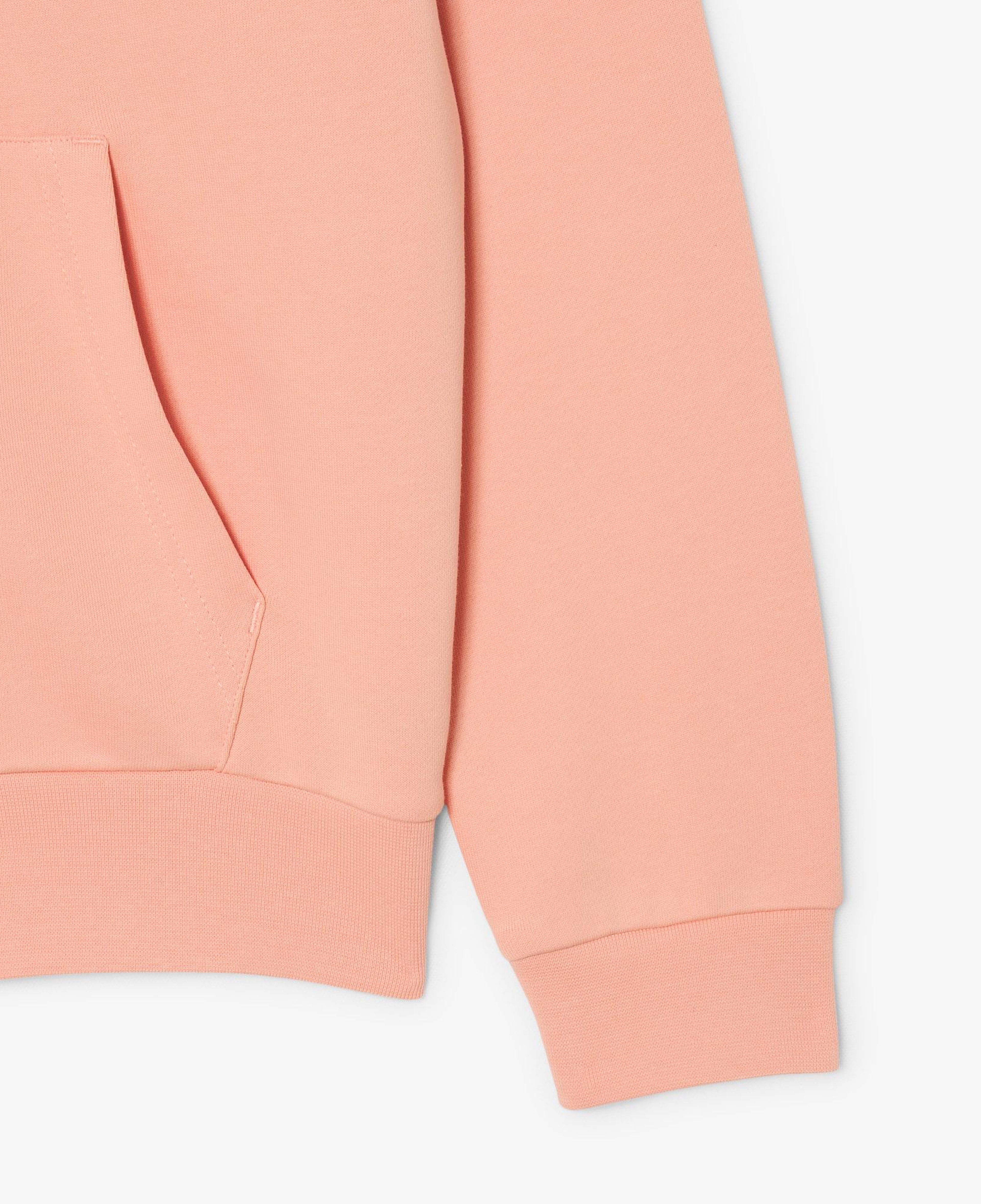Erkek Classic Fit Kapüşonlu Pembe Sweatshirt