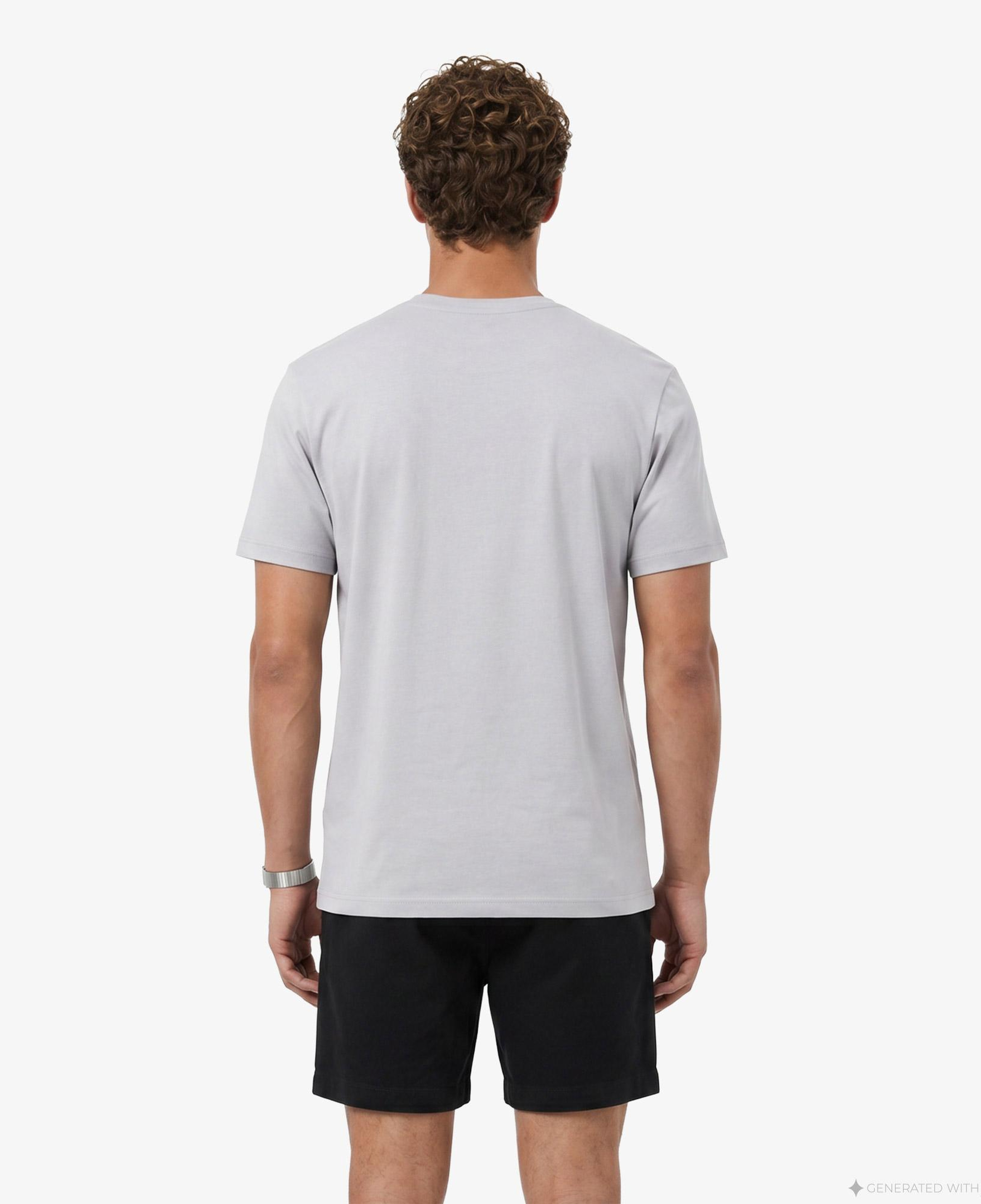 Erkek Regular Fit Bisiklet Yaka Renk Bloklu Gri T-Shirt