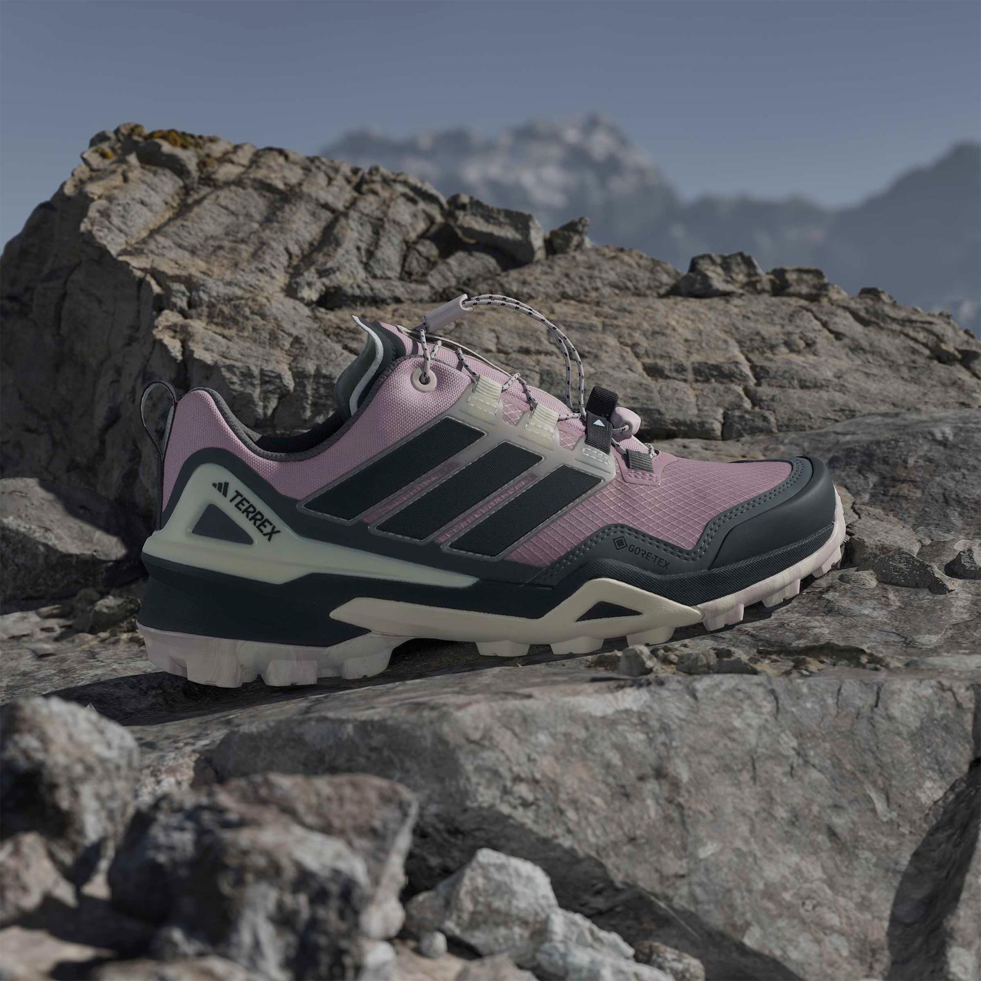 adidas Terrex Skychaser Gtx Kadın Siyah Koşu Ayakkabısı