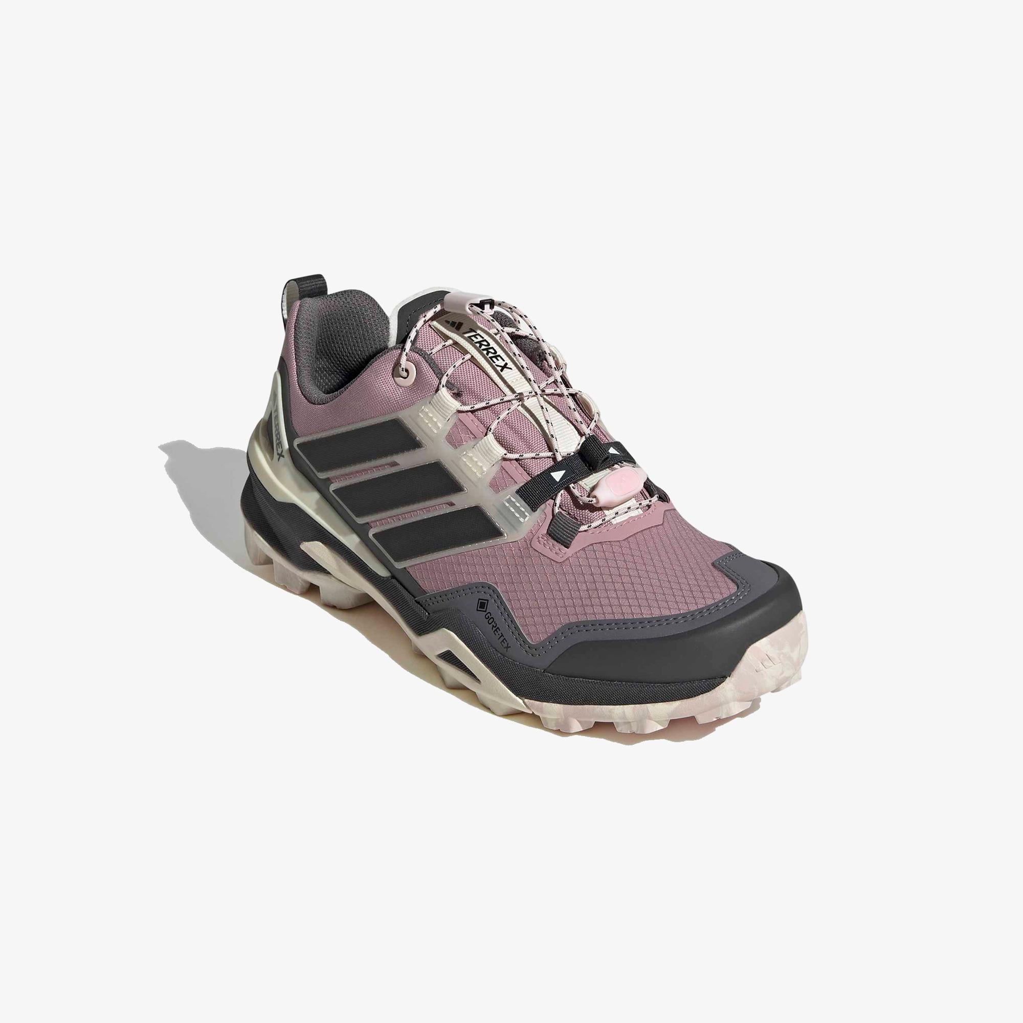 adidas Terrex Skychaser Gtx Kadın Siyah Koşu Ayakkabısı