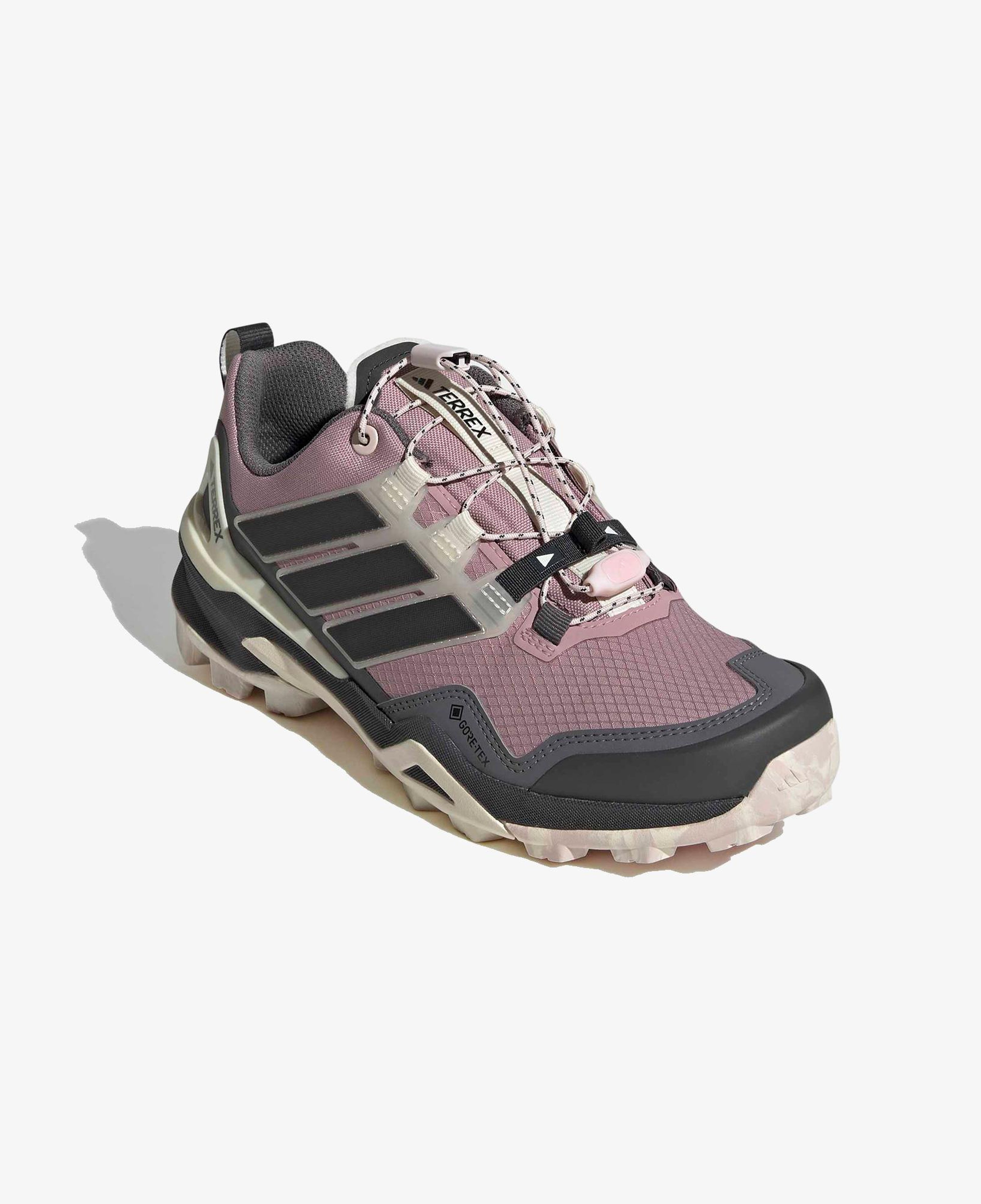 adidas Terrex Skychaser Gtx Kadın Siyah Koşu Ayakkabısı