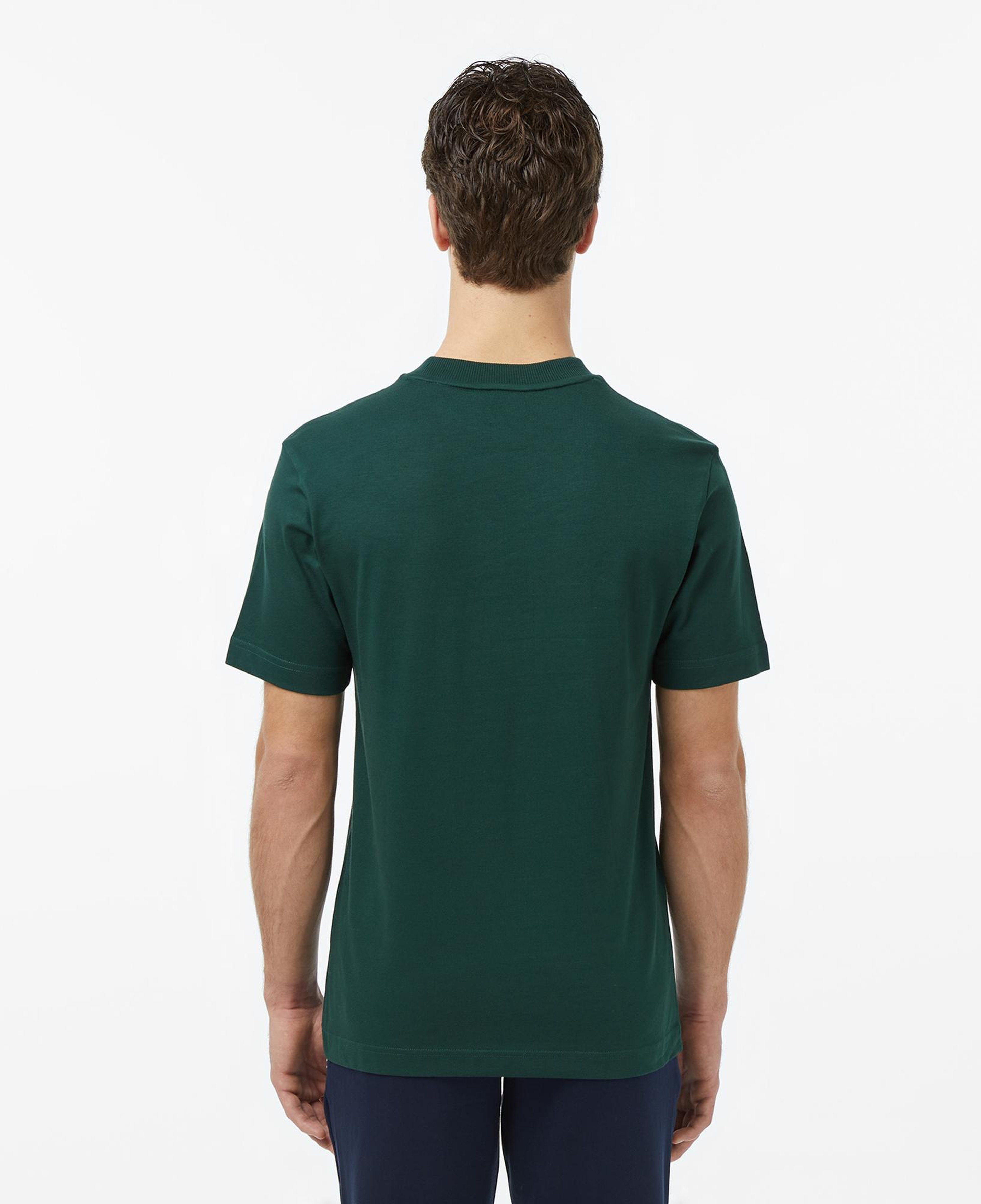 Erkek Relaxed Fit Bisiklet Yaka Yeşil T-Shirt