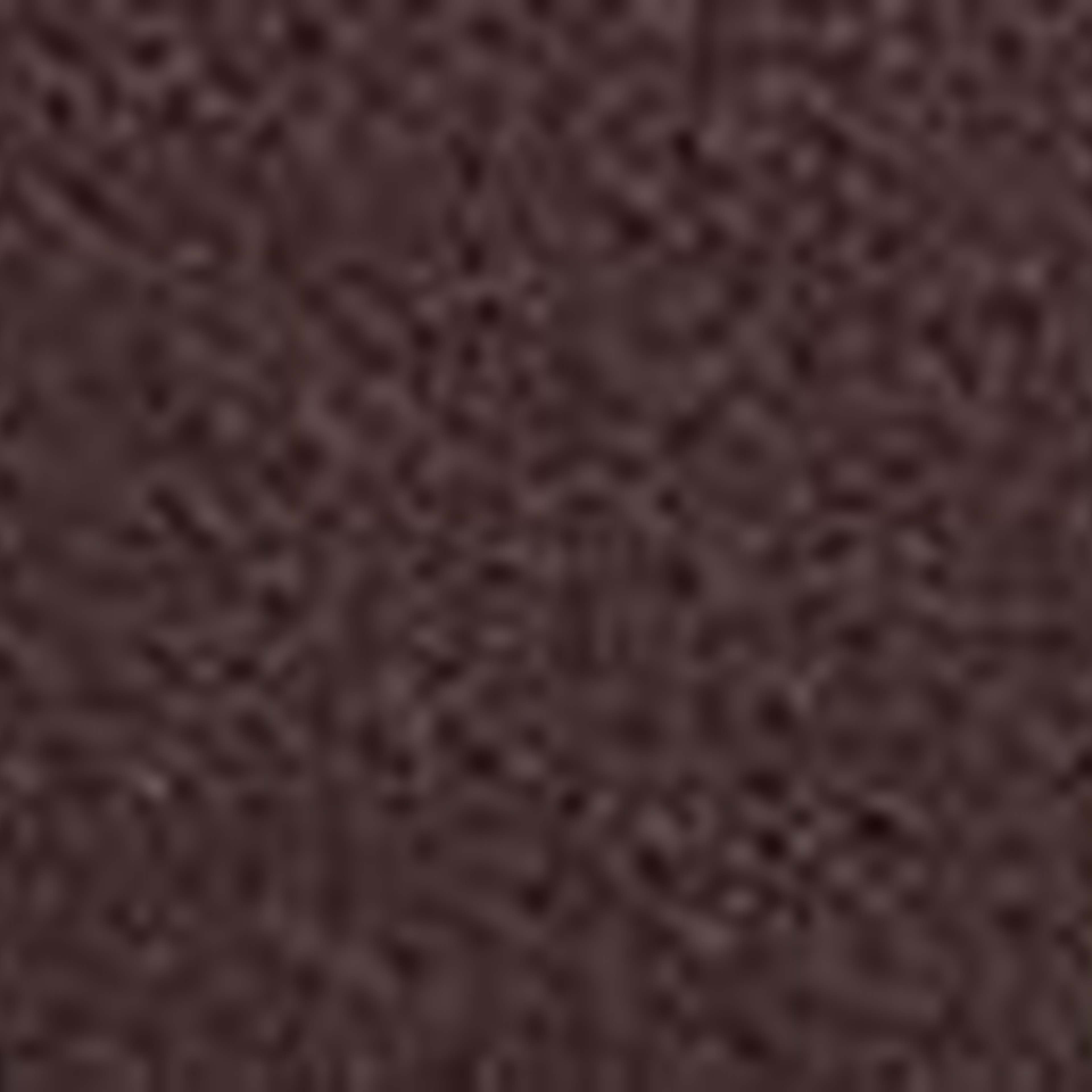 Levis Tumbled Icon Kemer