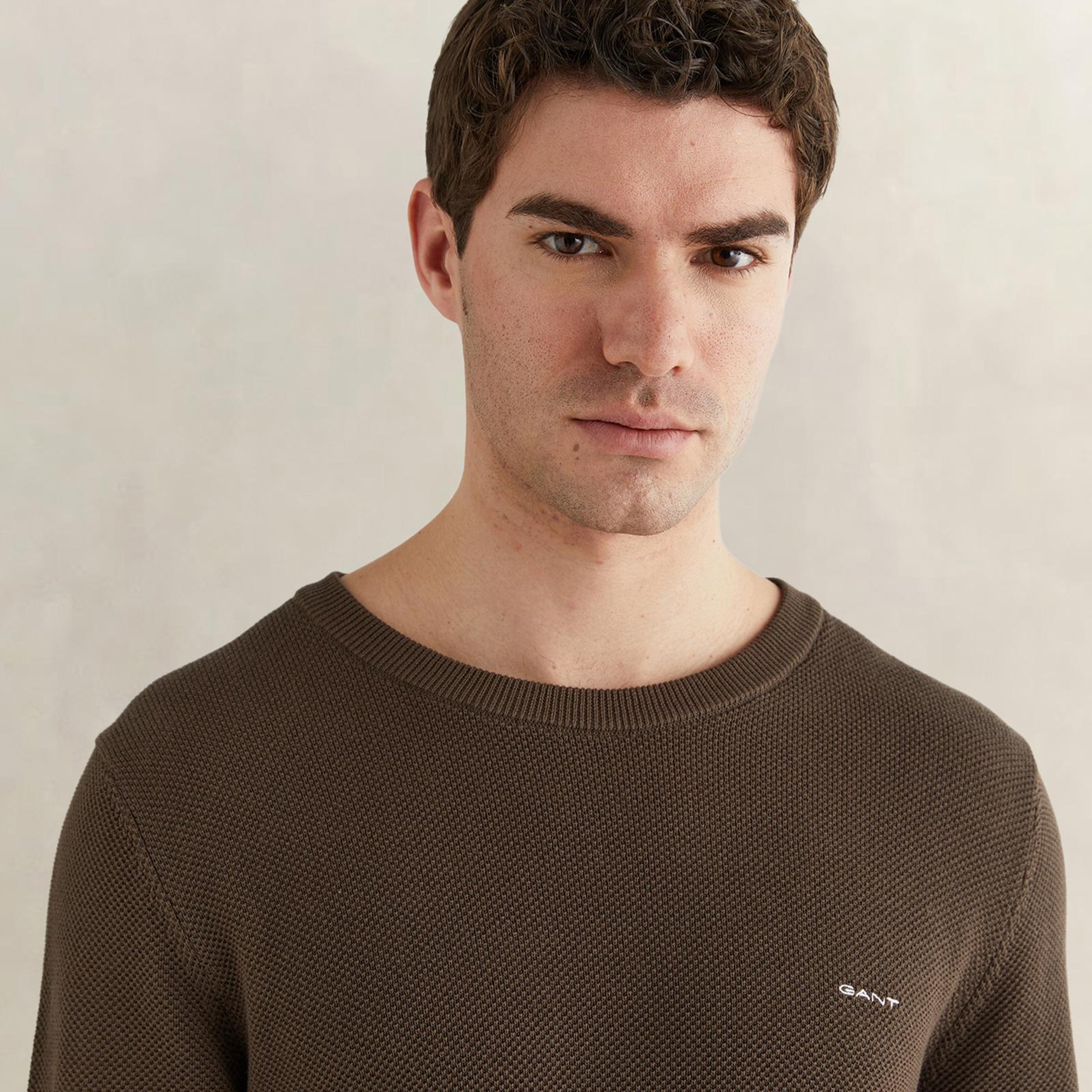 GANT Erkek Kahverengi Regular Fit Bisiklet Yaka Triko