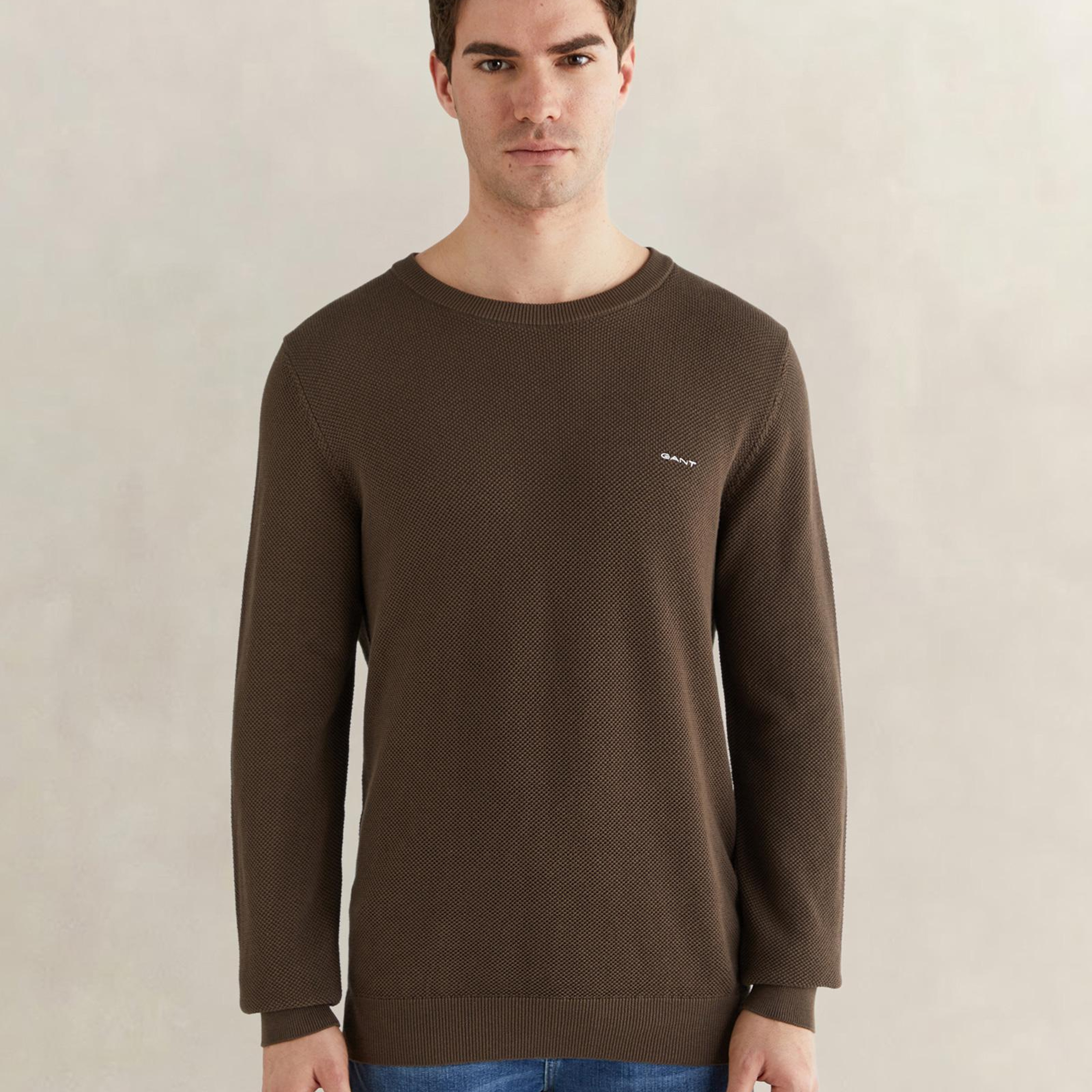 GANT Erkek Kahverengi Regular Fit Bisiklet Yaka Triko