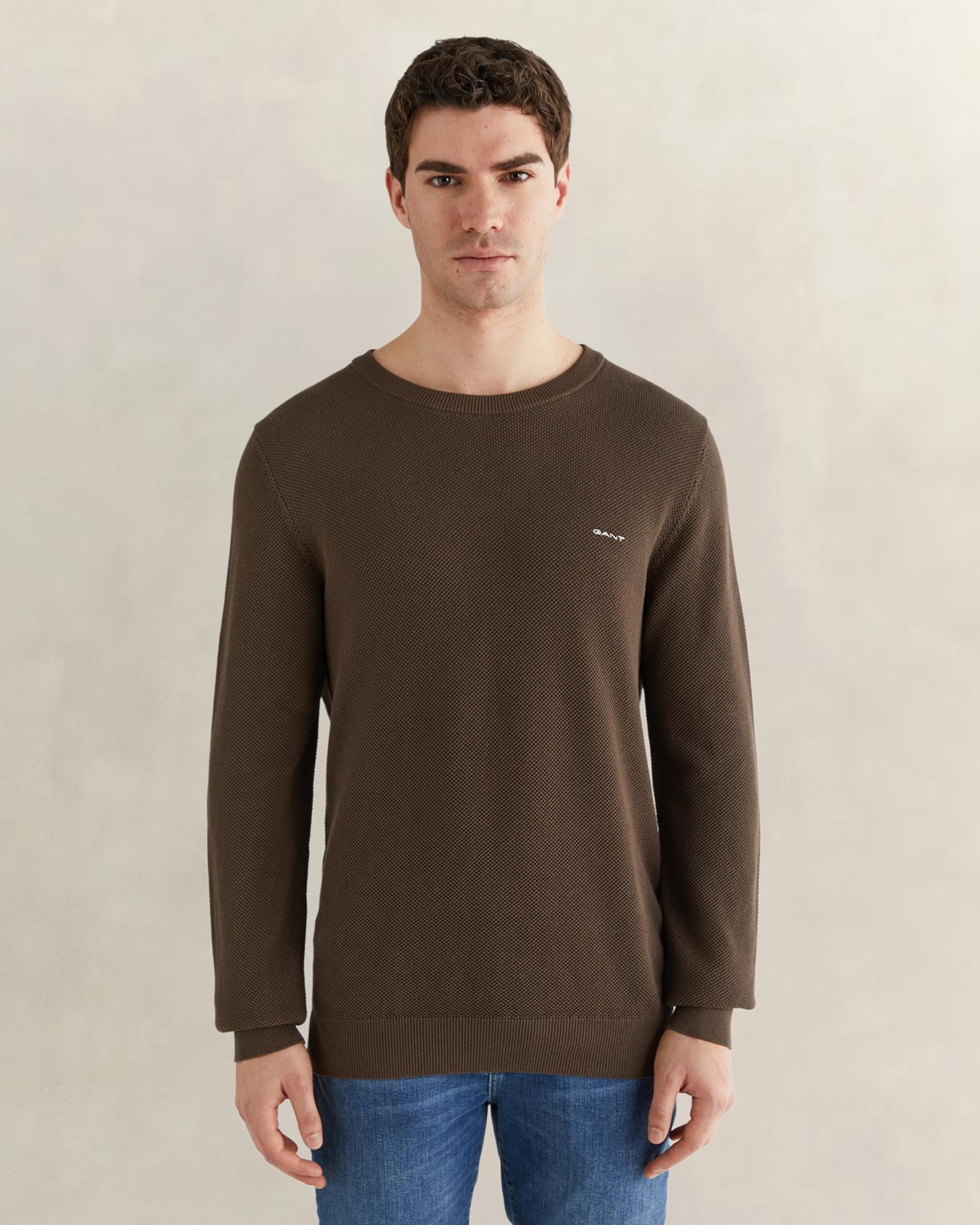 GANT Erkek Kahverengi Regular Fit Bisiklet Yaka Triko