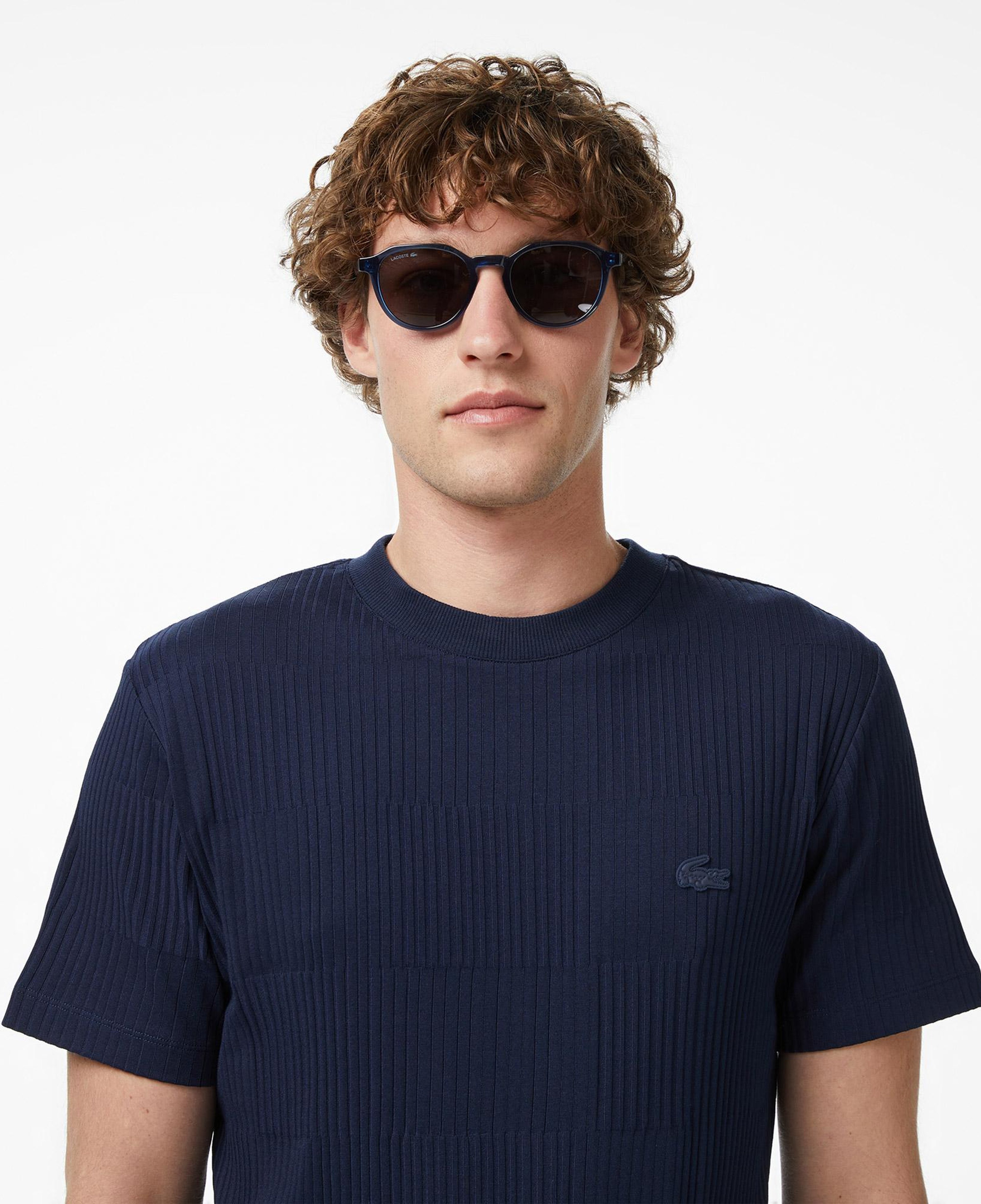 Lacoste Erkek Regular Fit Bisiklet Yaka Çizgili Lacivert T-Shirt
