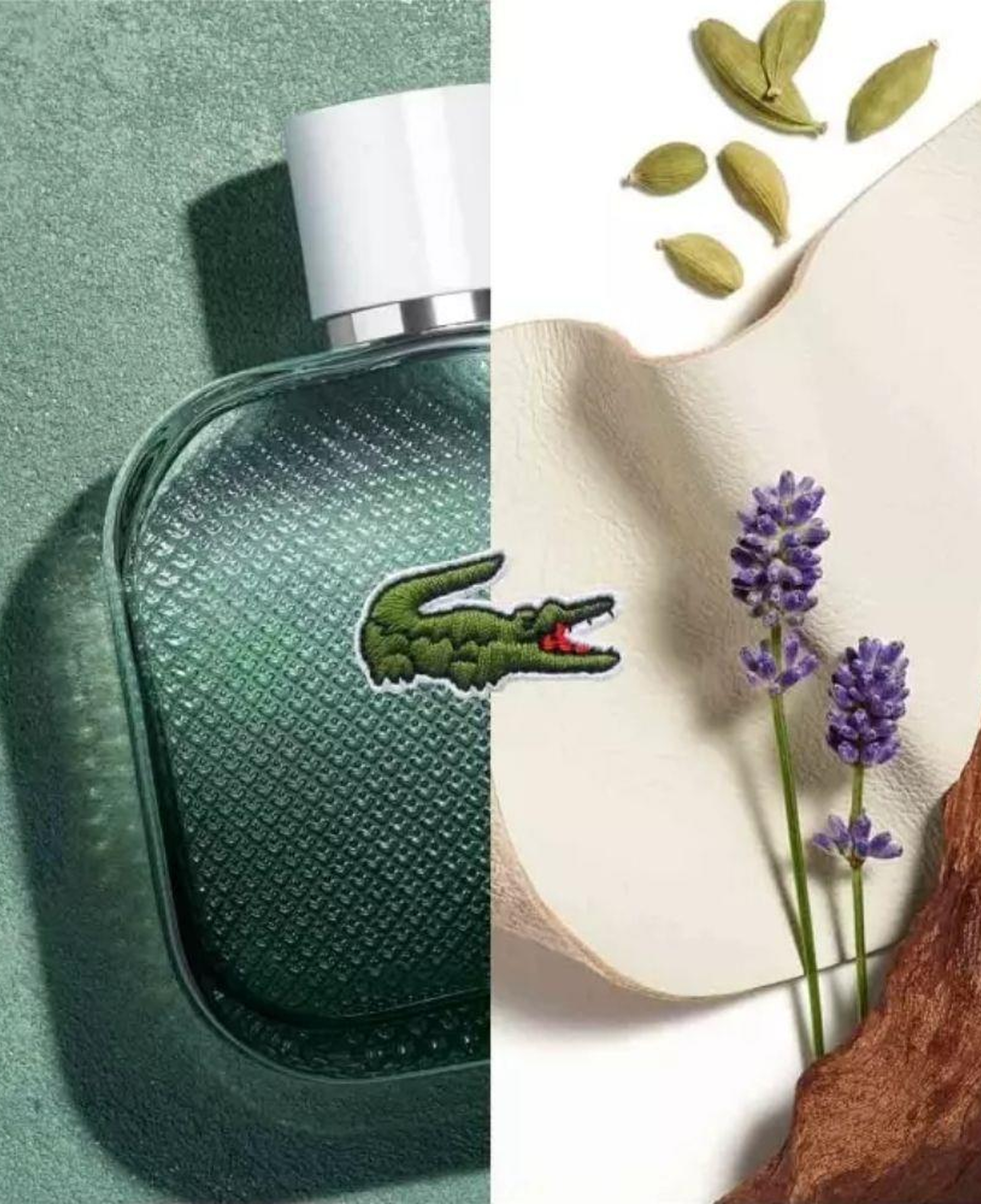 Lacoste L.12.12 Blanc Eau Intense EDT 100 ml Erkek Parfümü