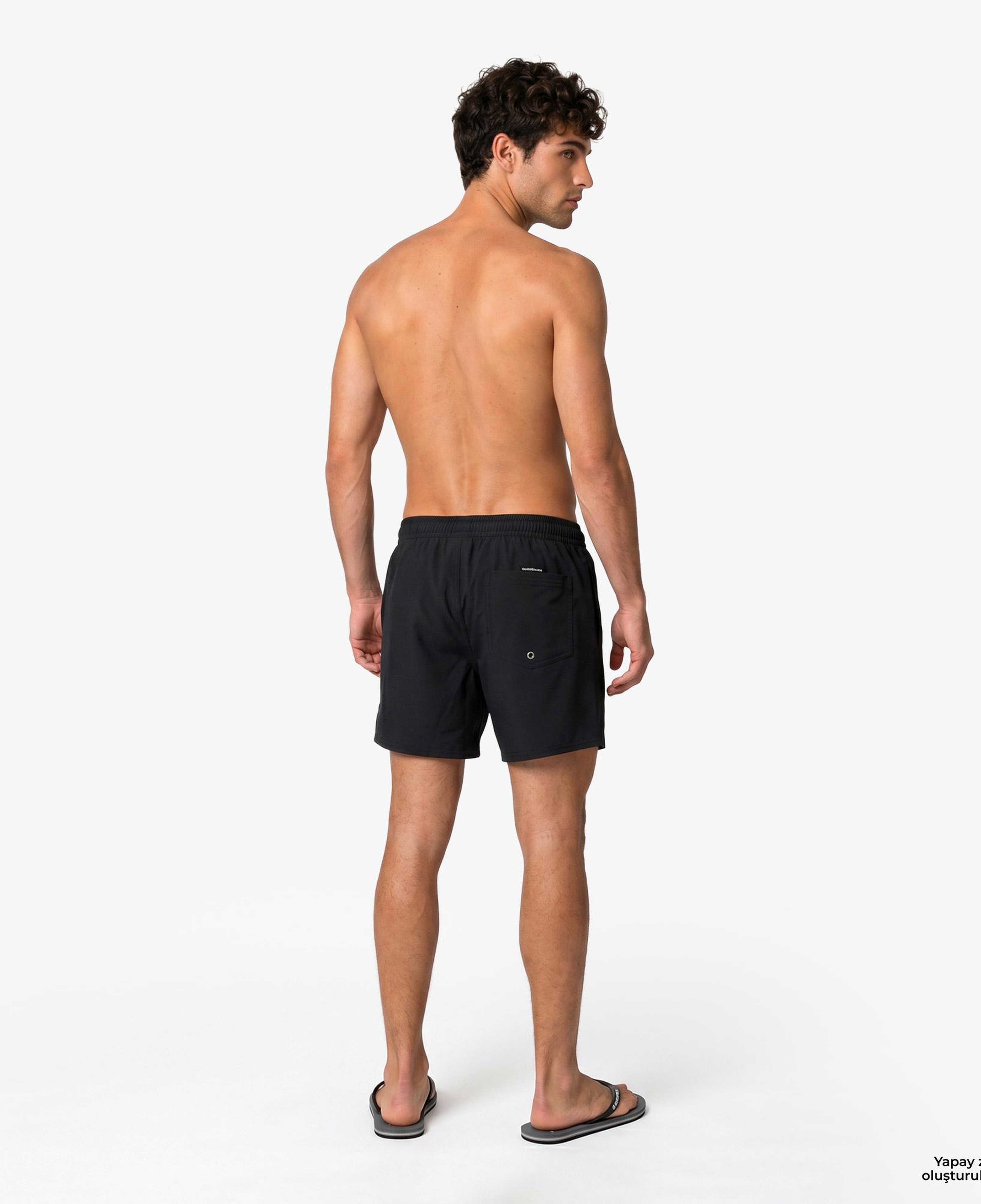 Quiksilver Everyday Flex Volley 15 Erkek Siyah Deniz Şortu