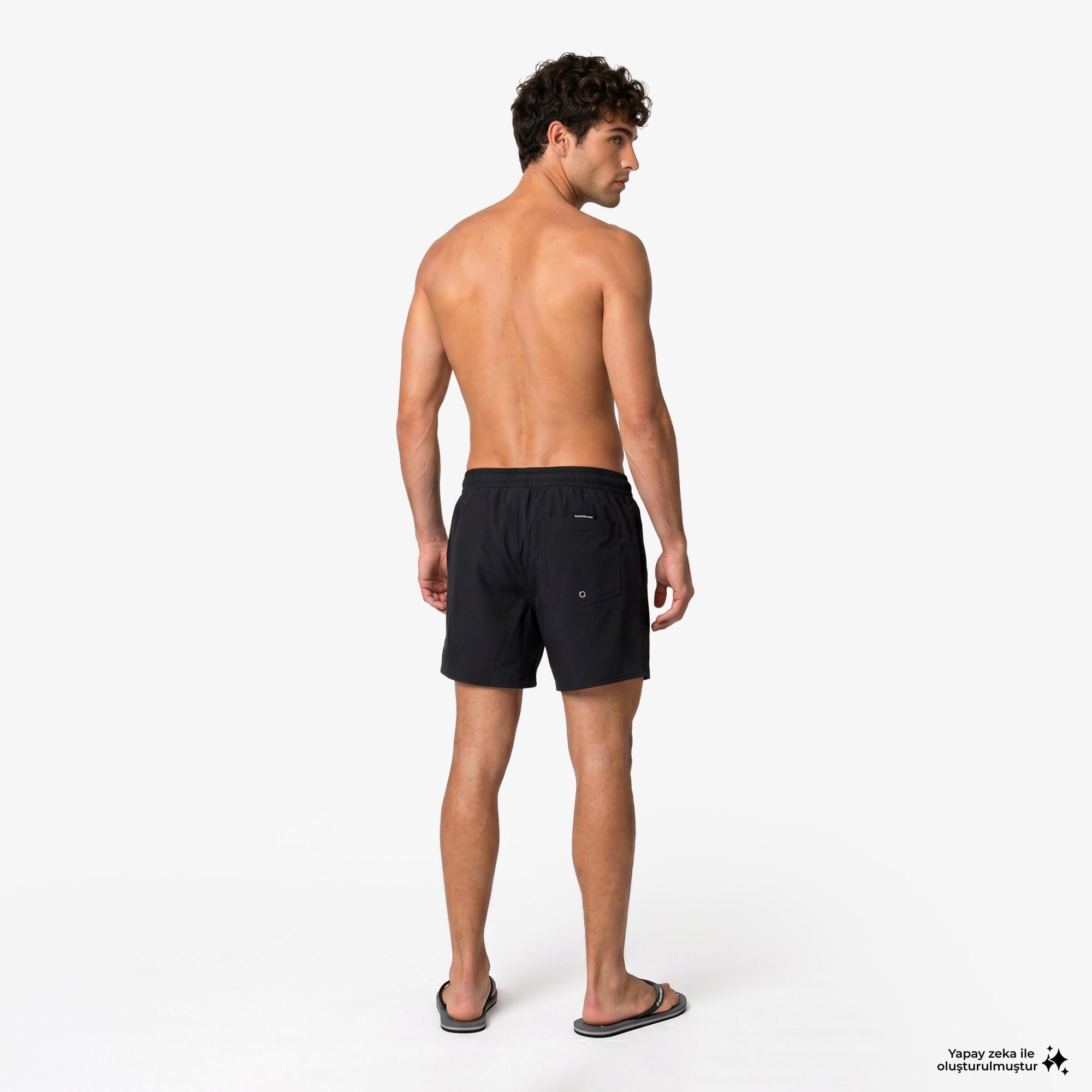 Quiksilver Everyday Flex Volley 15 Erkek Siyah Deniz Şortu