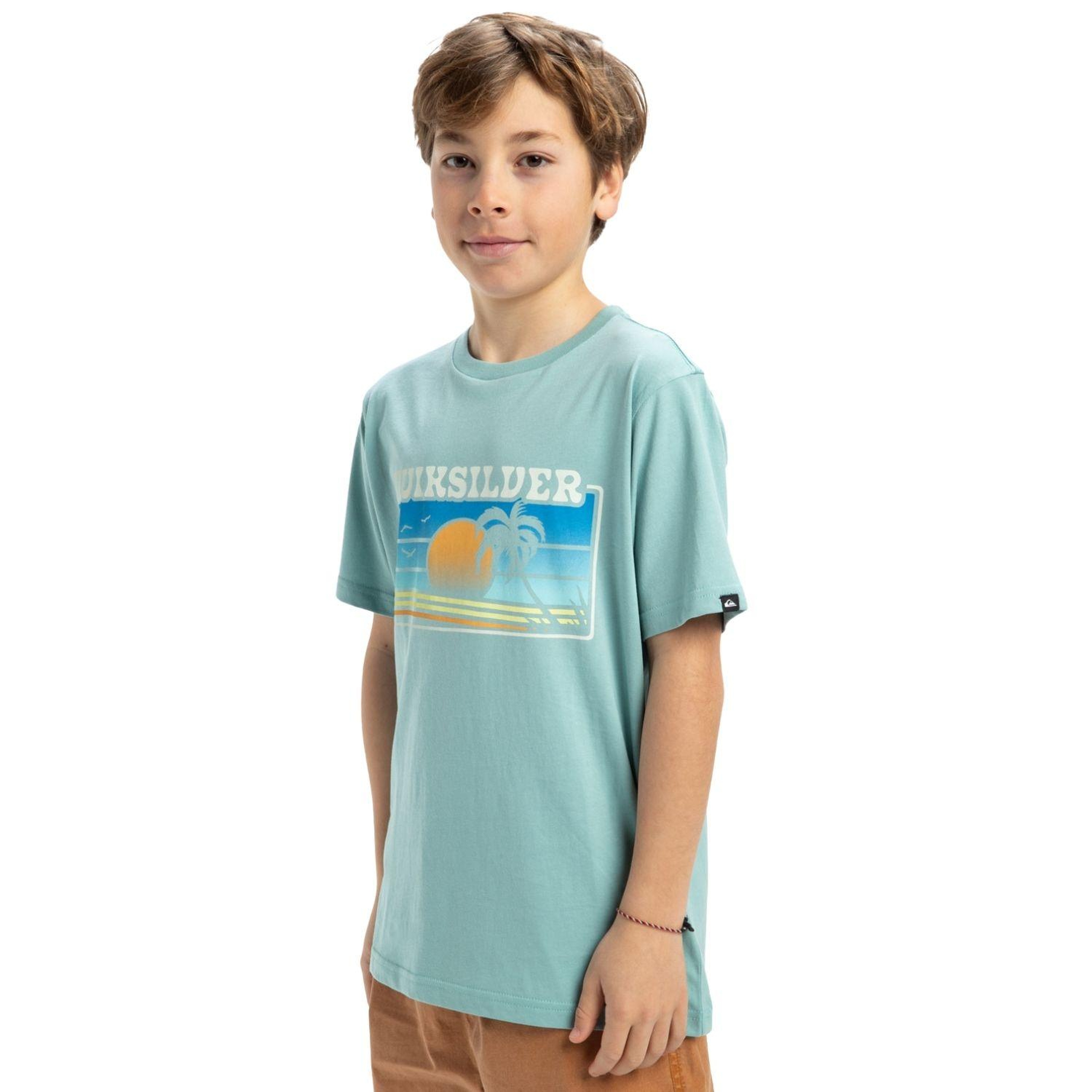 Quiksilver Ev Sun Faded Erkek Çocuk Mavi Tişört