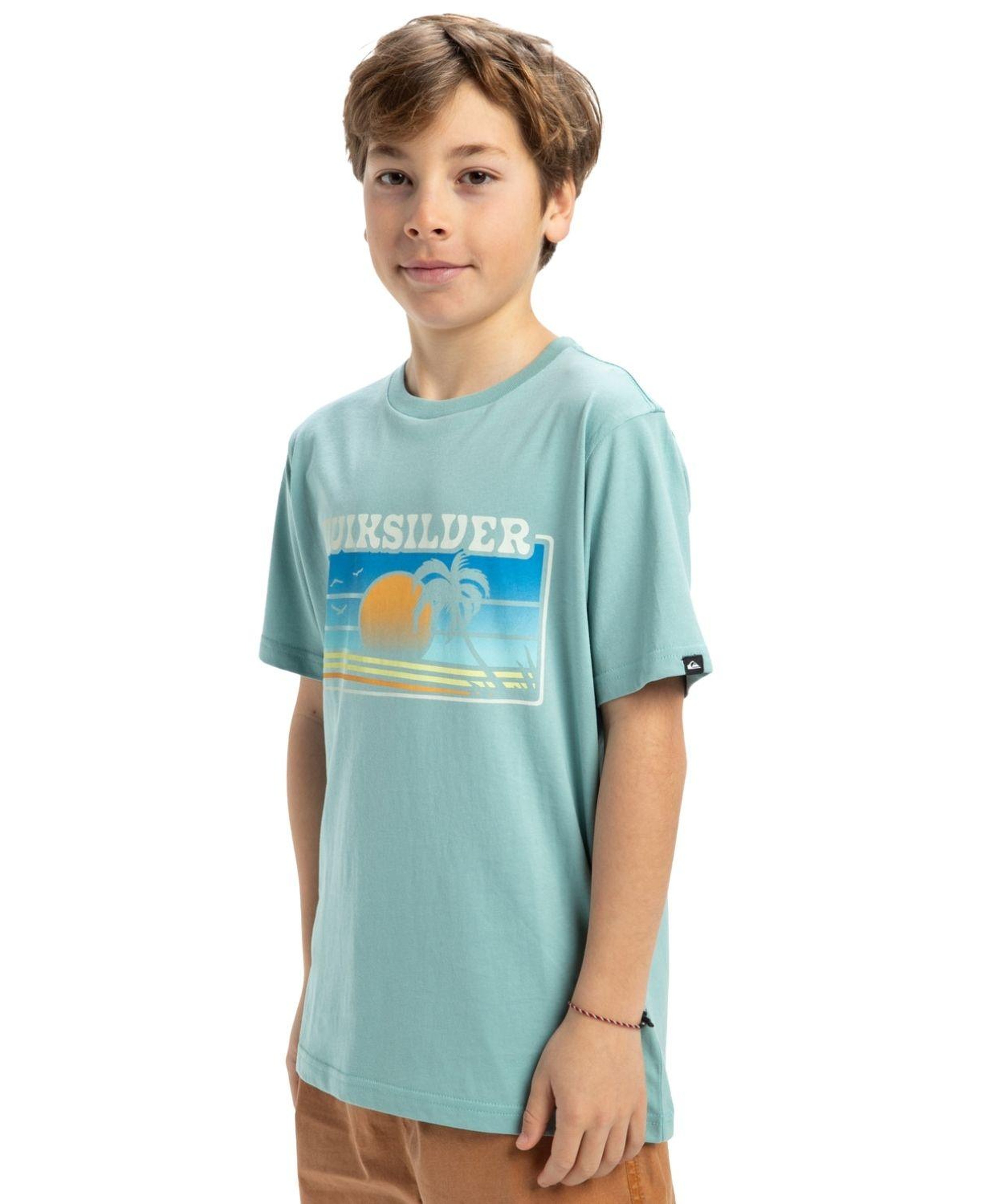 Quiksilver Ev Sun Faded Erkek Çocuk Mavi Tişört