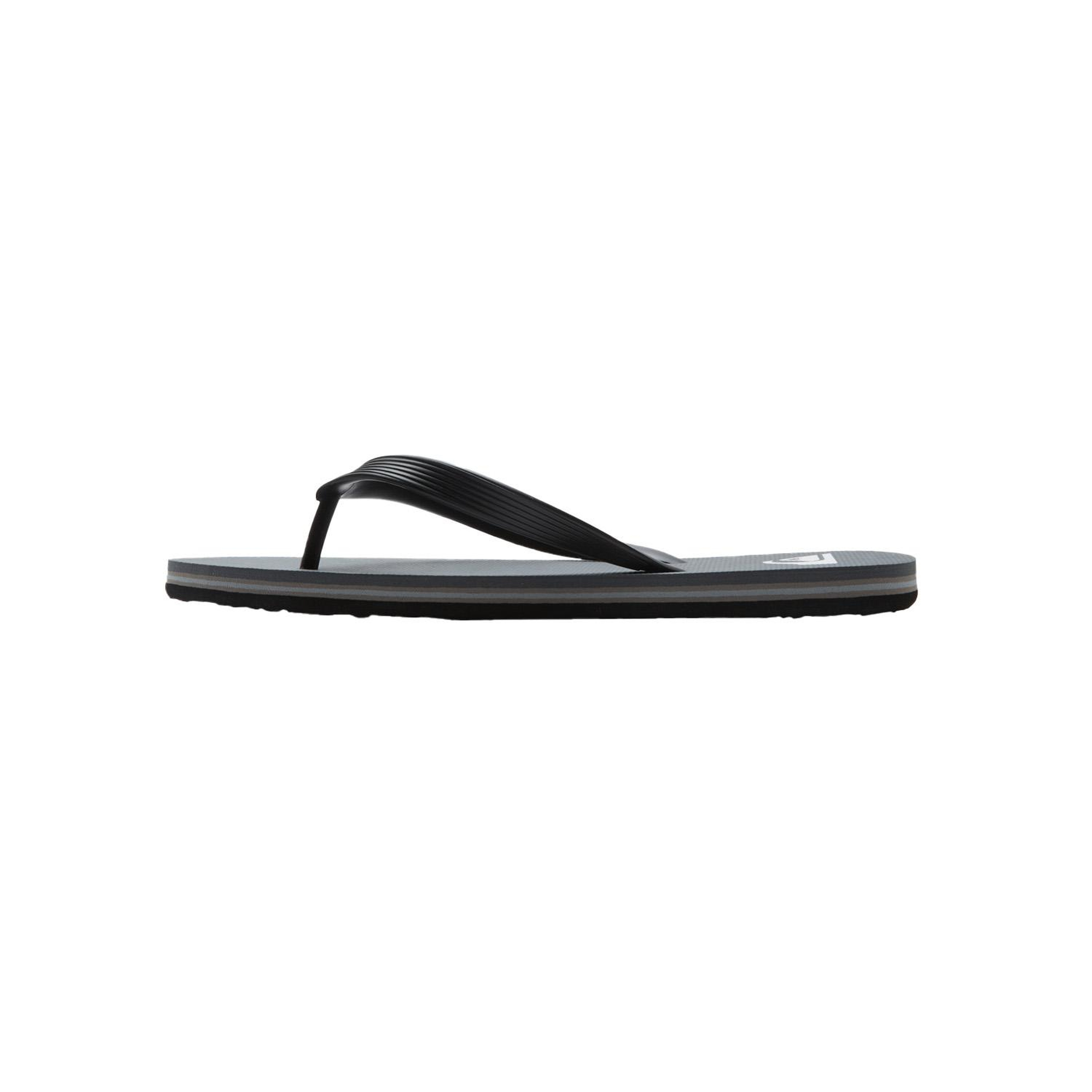 Quiksilver Molokai Erkek Gri Terlik