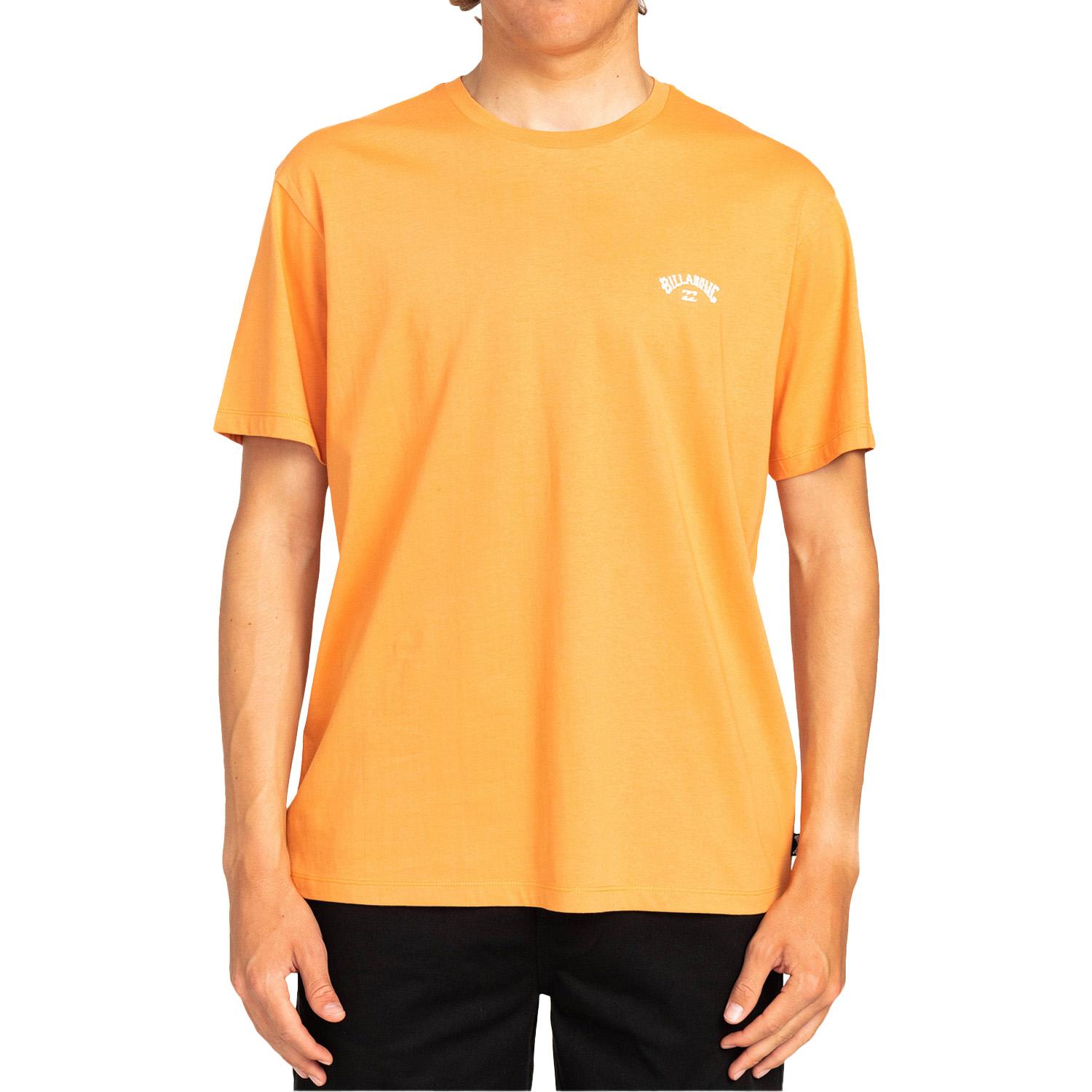 Billabong Arch Crew Erkek Tişört