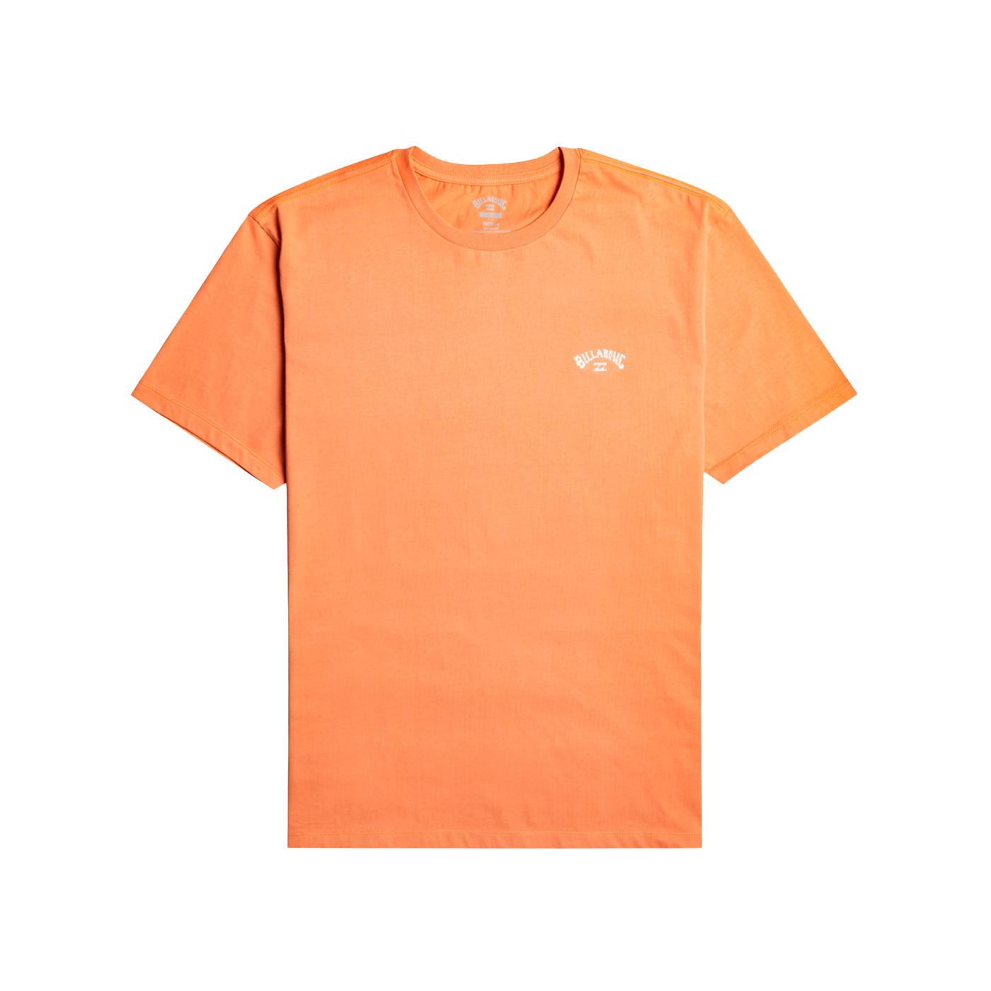 Billabong Arch Crew Erkek Tişört