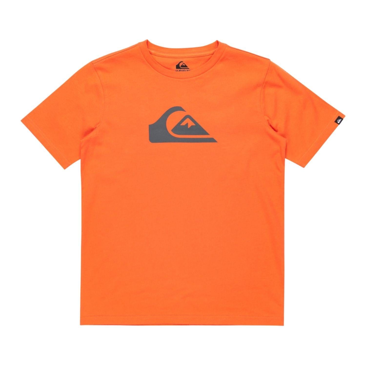Quiksilver Ev Comp Logo Erkek Çocuk Tişört