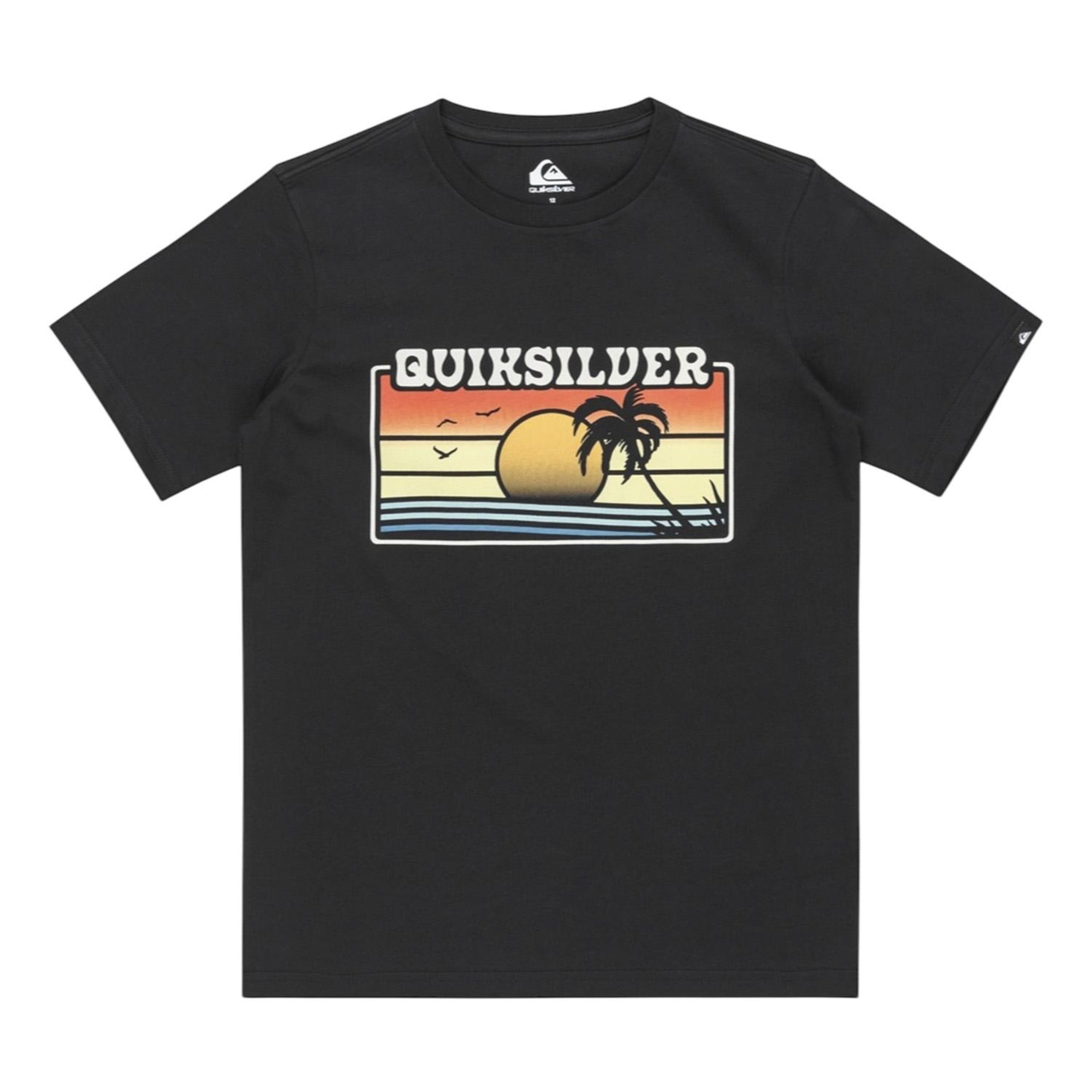 Quiksilver Ev Sun Faded Erkek Çocuk Tişört