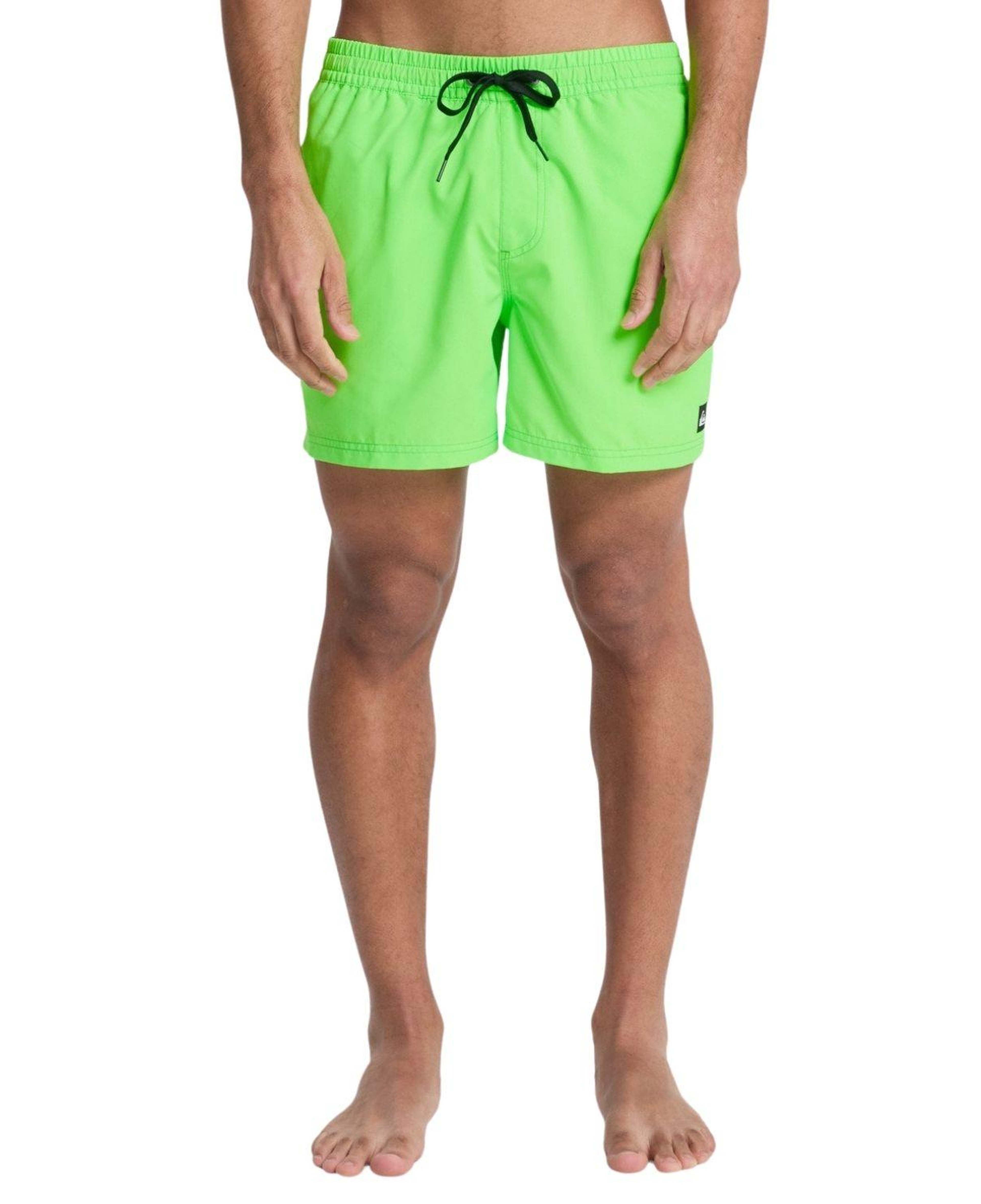 Quiksilver Everyday 15 Erkek Yeşil Volley Short