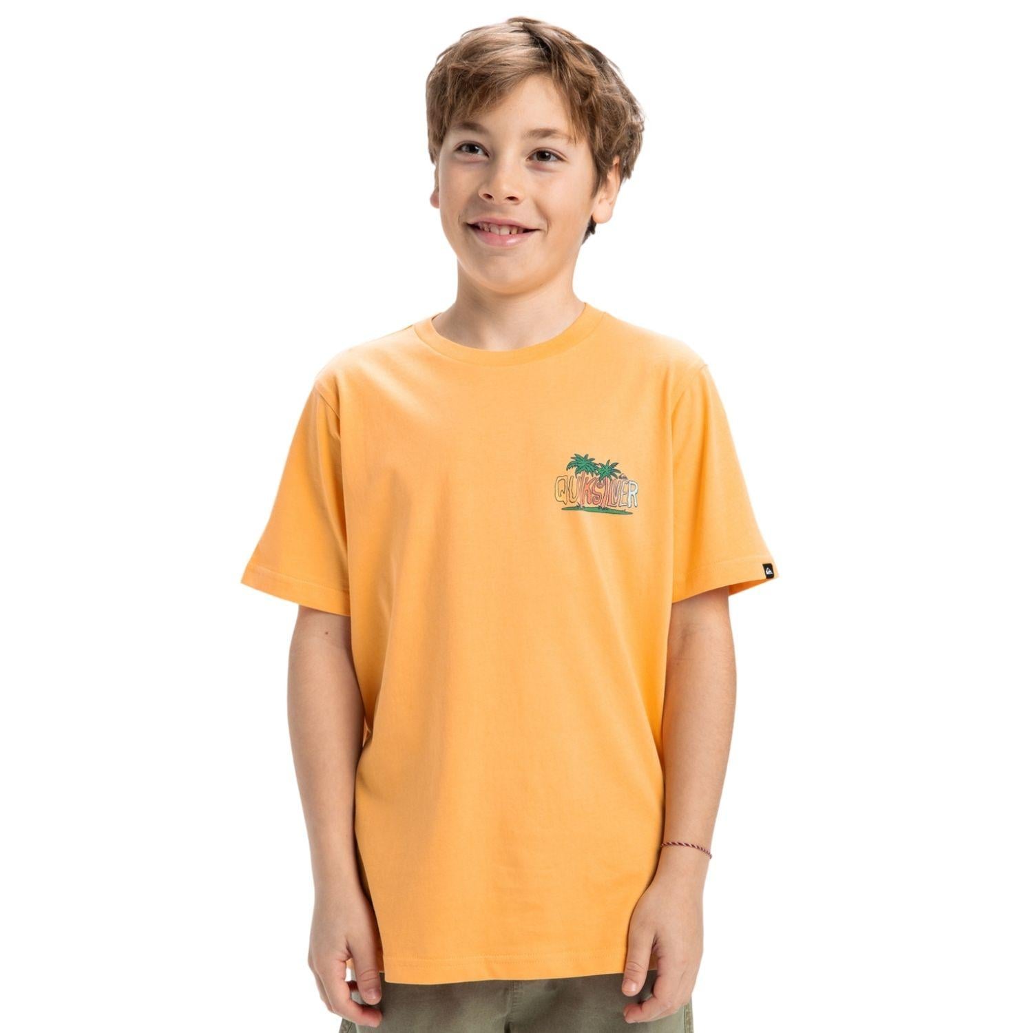 Quiksilver Ev Sunny Palms Erkek Çocuk Tişört