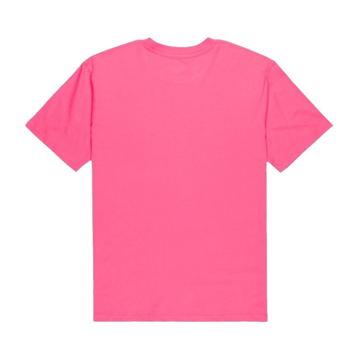 Quiksilver Malibu Erkek Pembe Tişört