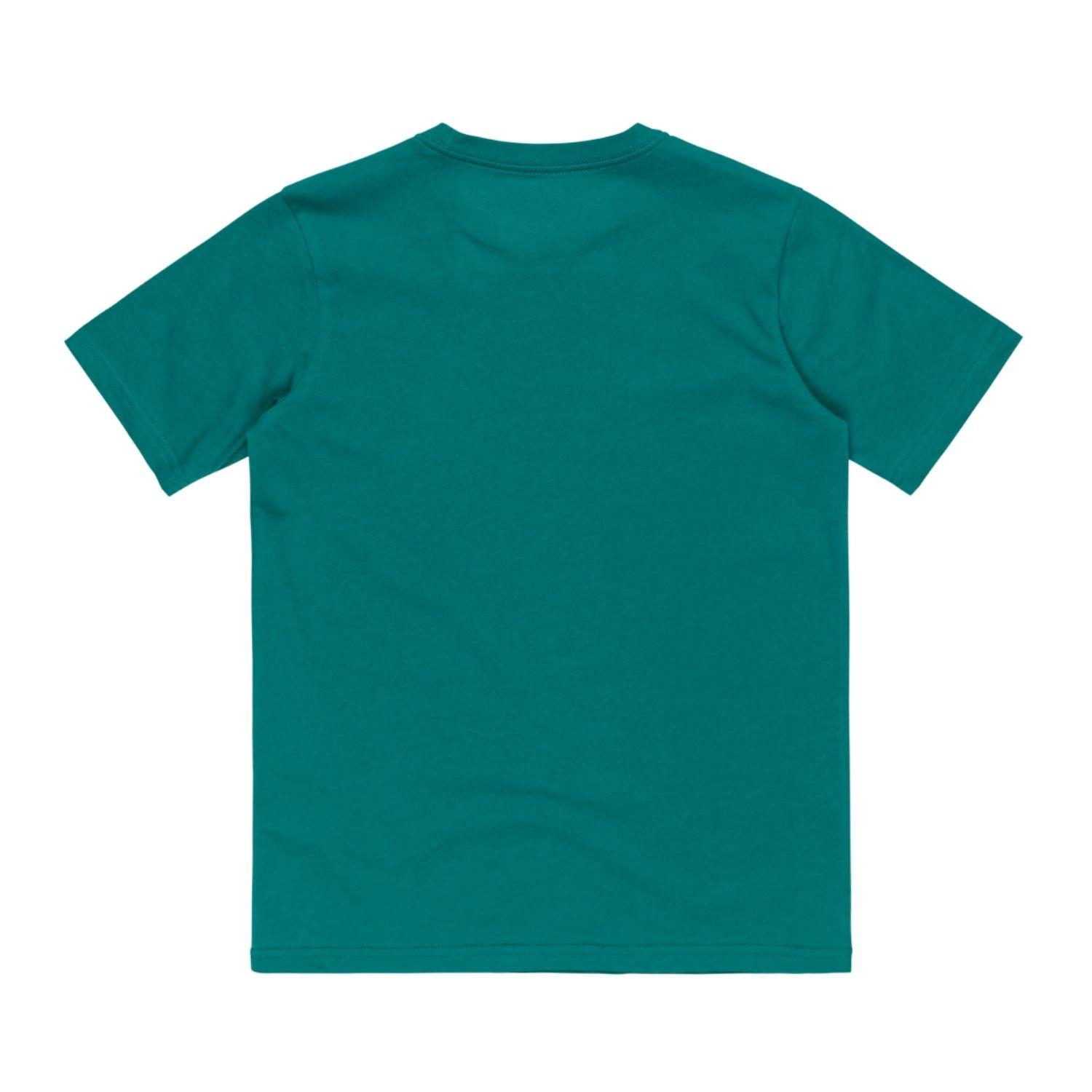 Quiksilver Ev Comp Logo Erkek Çocuk Yeşil Tişört