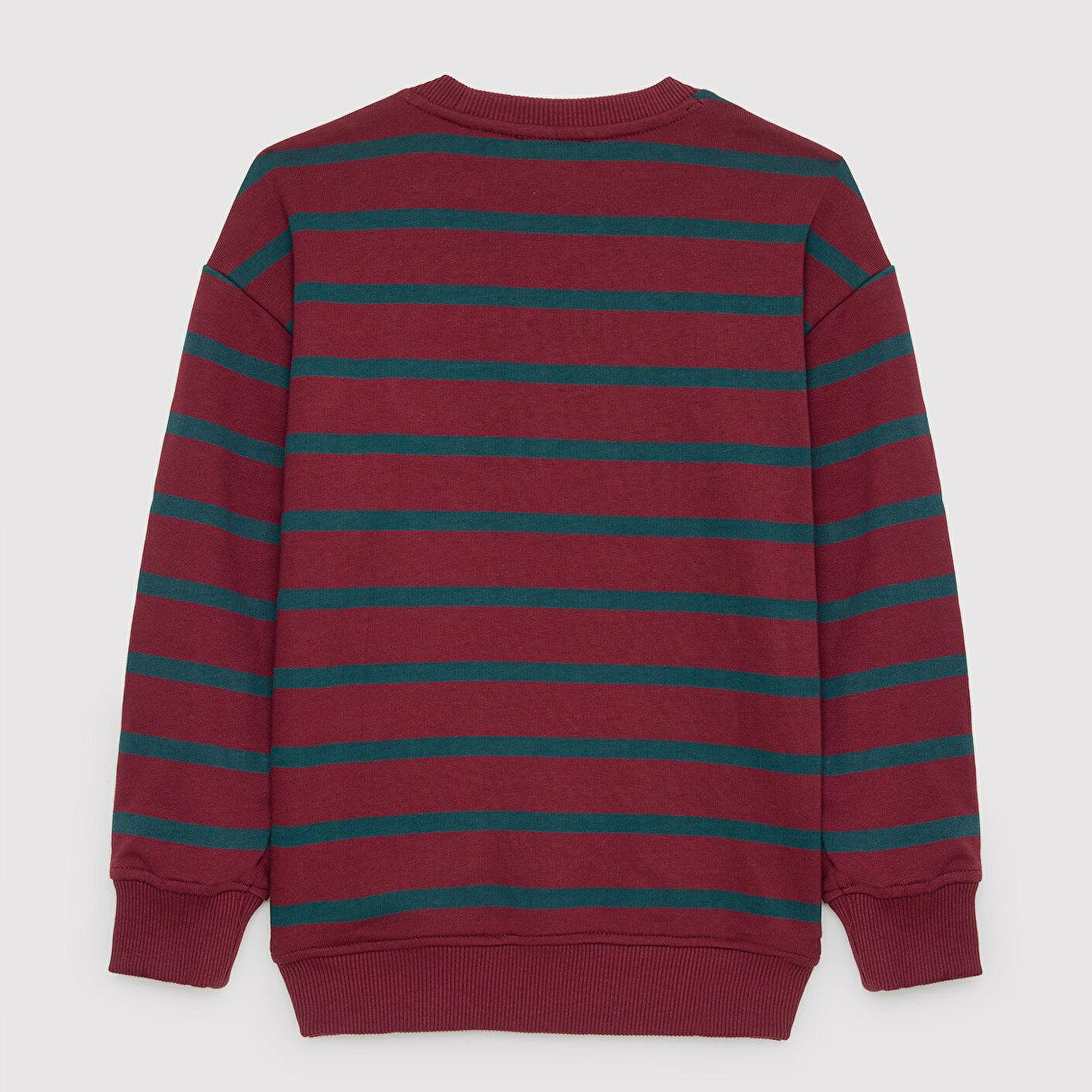 Mavi Yeşil Sweatshirt 6S10144-91628