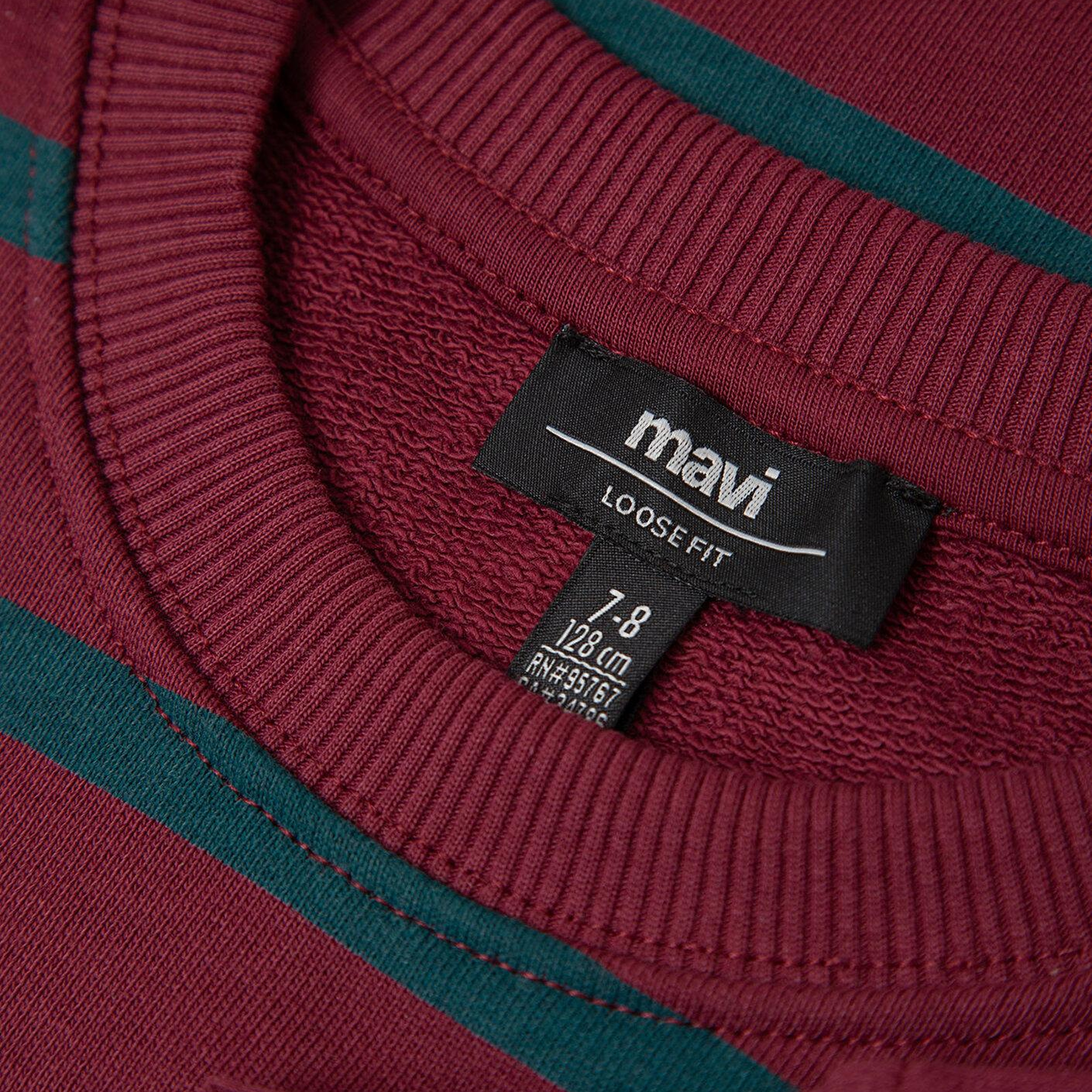 Mavi Yeşil Sweatshirt 6S10144-91628