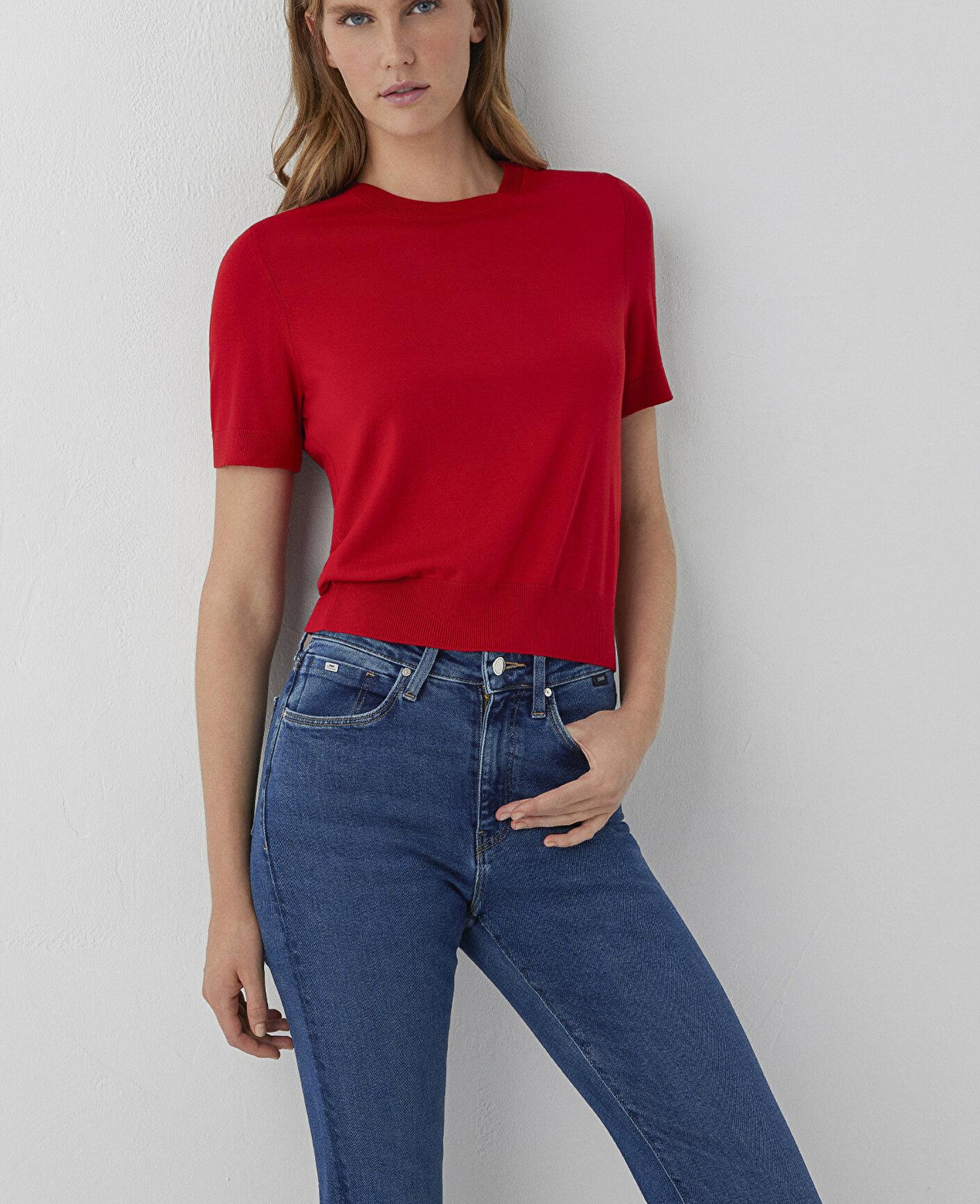 Mavi Kırmızı Kazak Slim Fit / Dar Kesim 1711009-84182