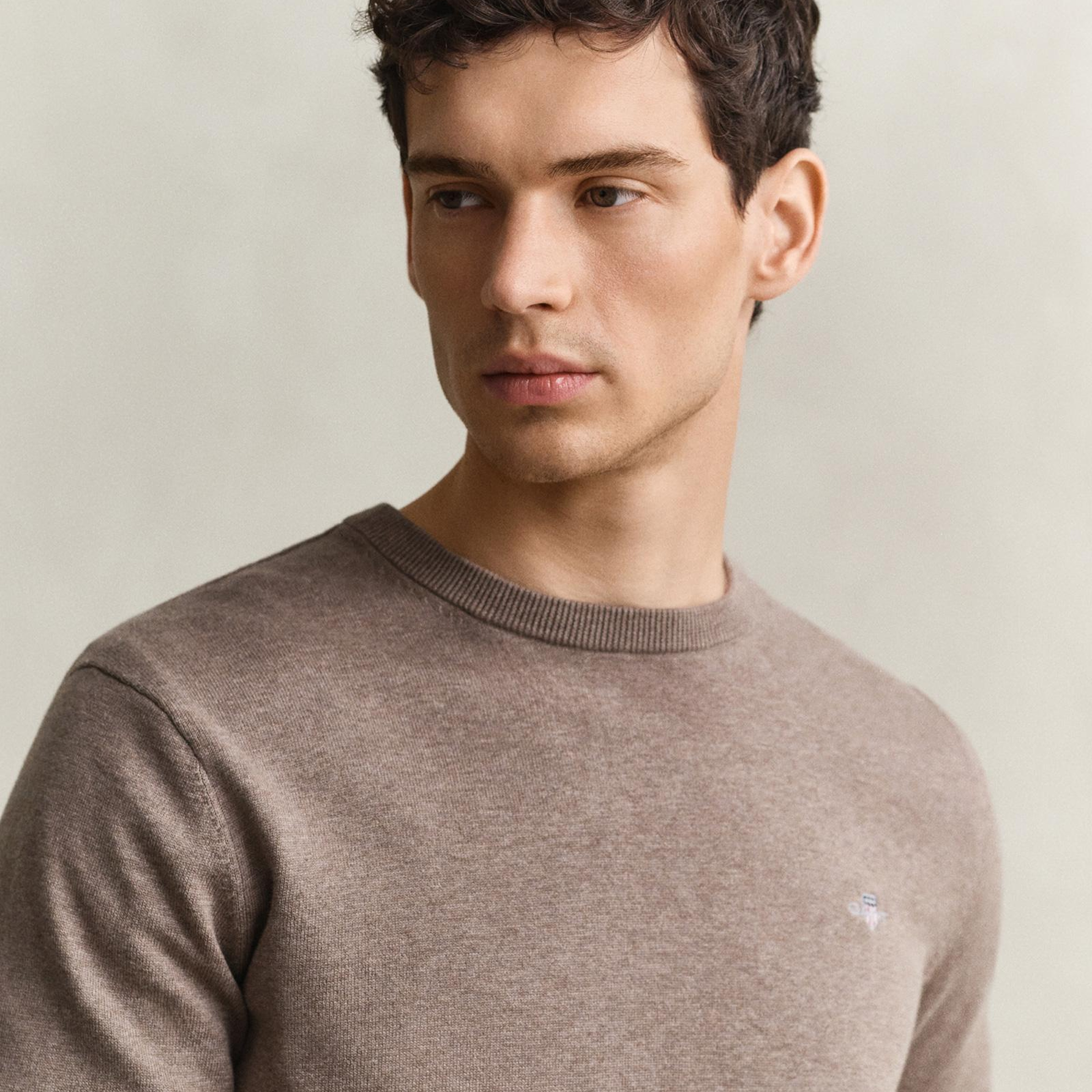 GANT Erkek Bej Regular Fit %100 Pamuk Kazak