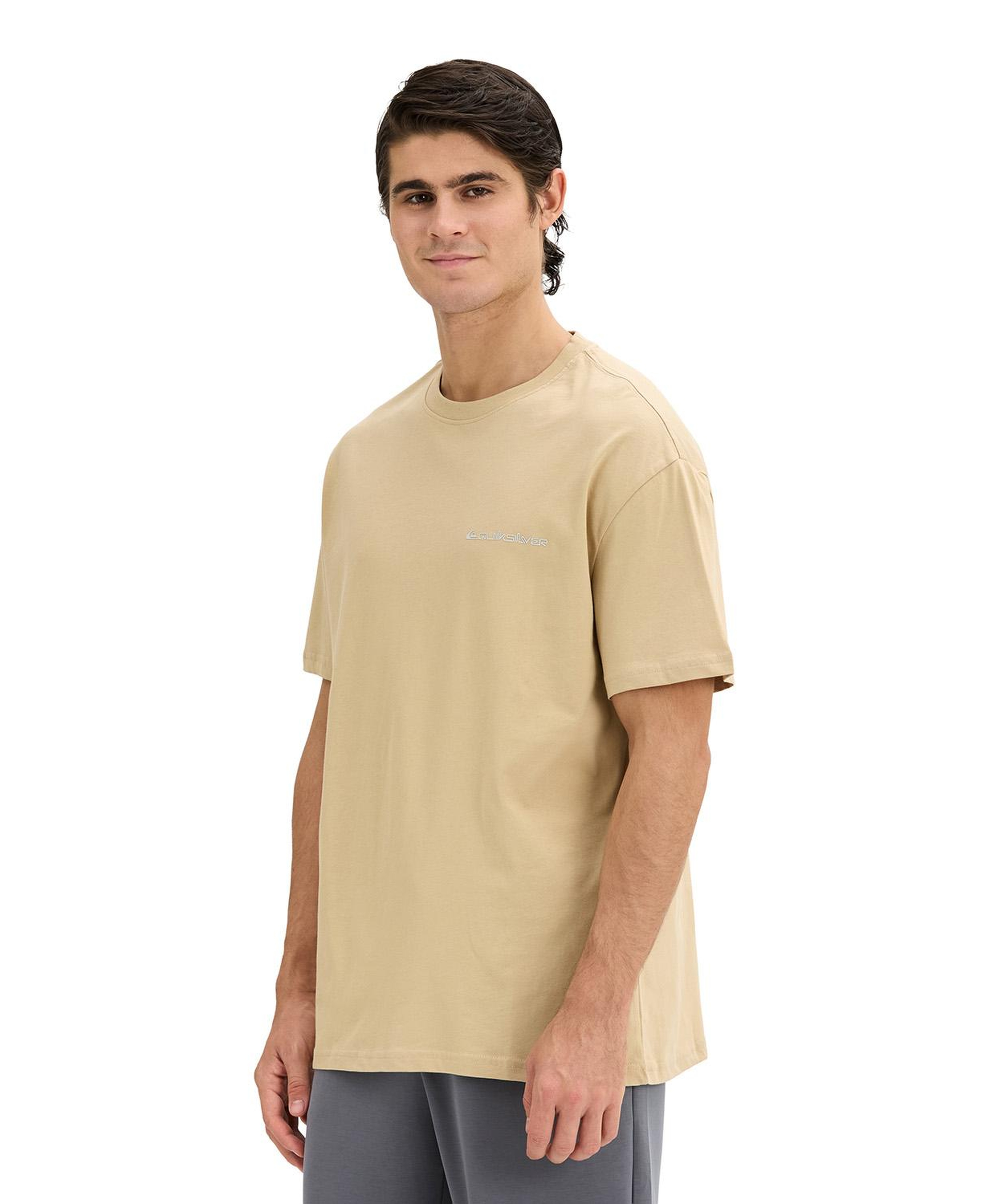Quıksılver Touchdown Tee Erkek Bej T-Shirt