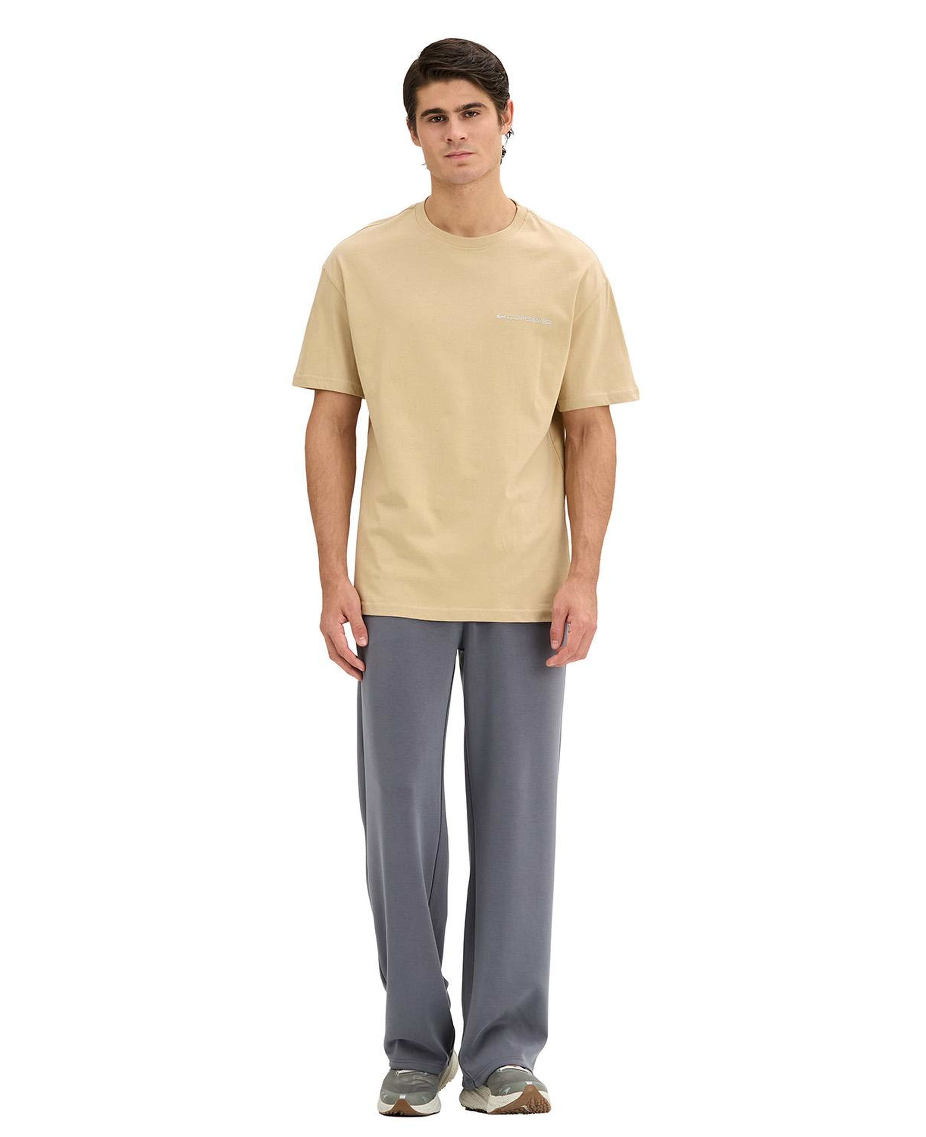 Quıksılver Touchdown Tee Erkek Bej T-Shirt
