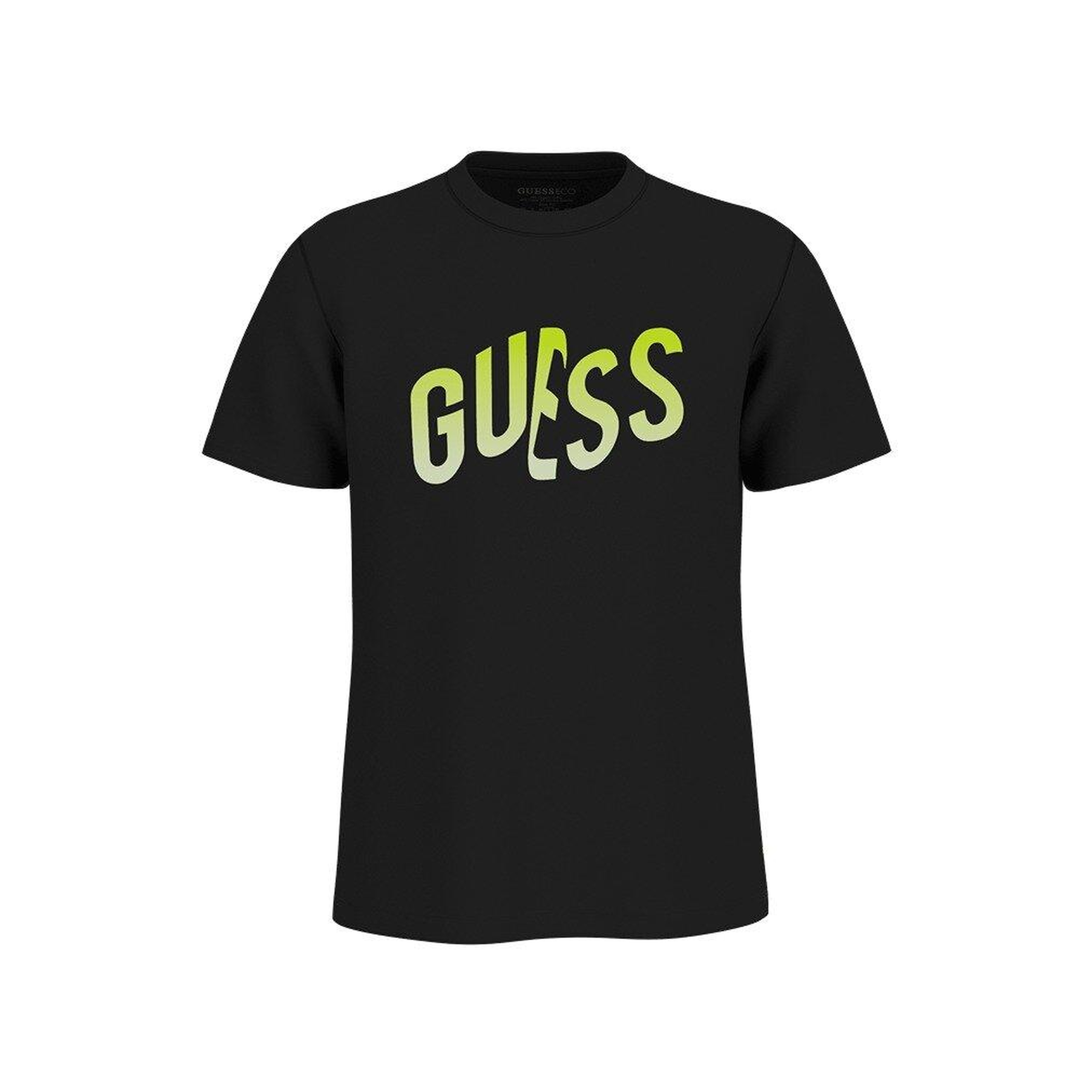 Gradient Erkek Regular Fit T-Shirt