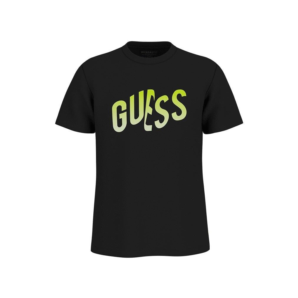 Gradient Erkek Regular Fit T-Shirt