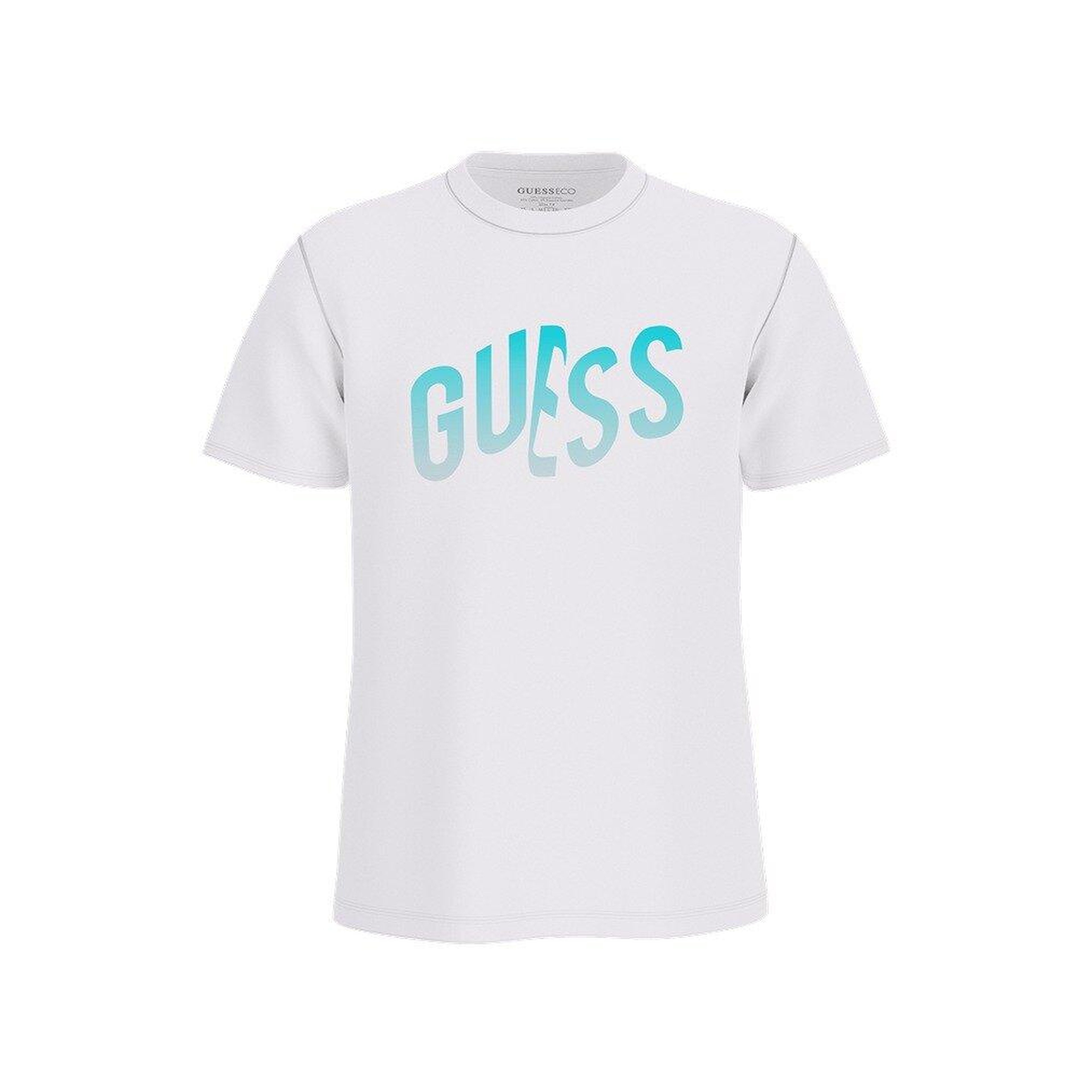 Gradient Erkek Regular Fit T-Shirt